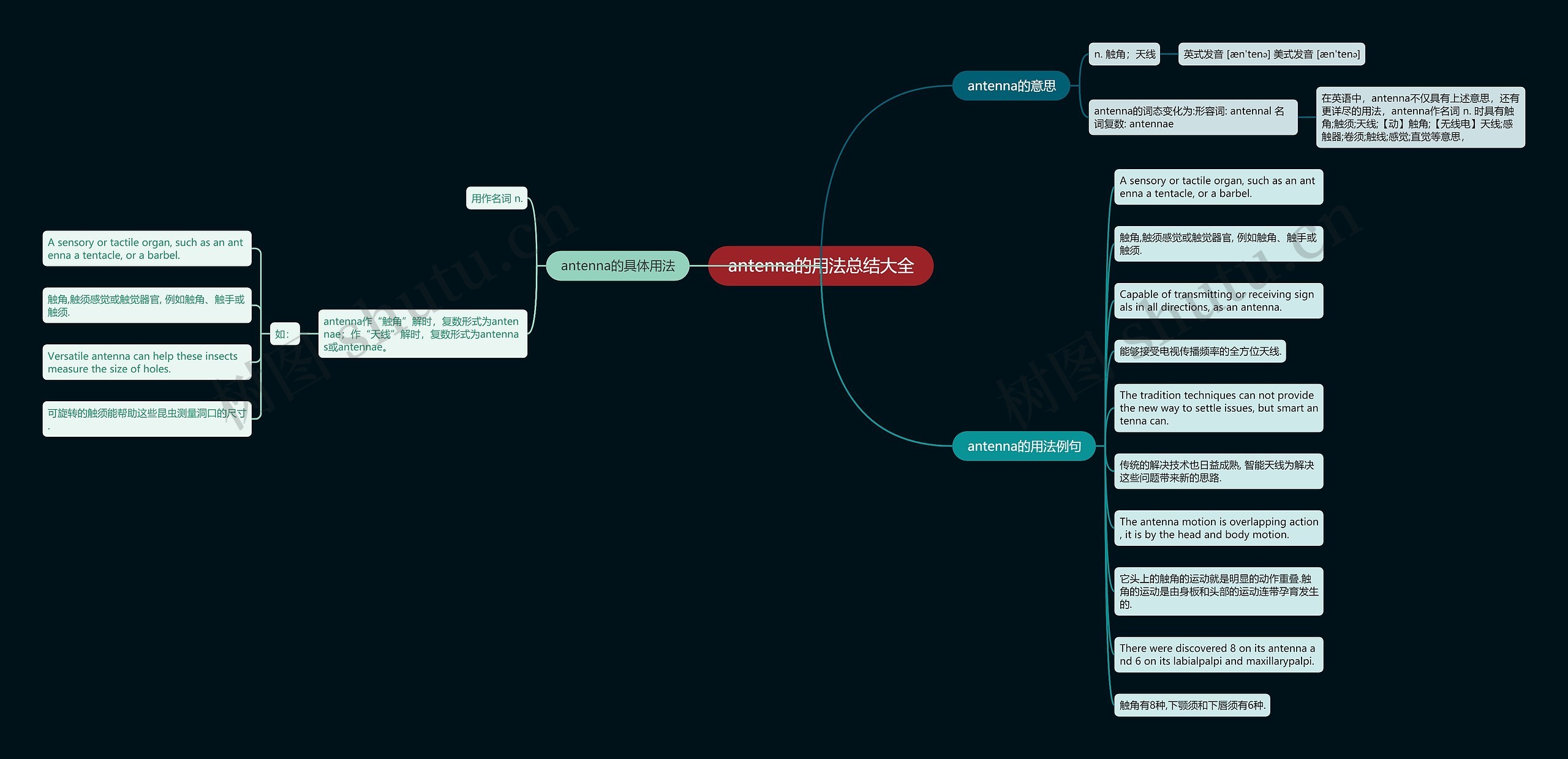 antenna的用法总结大全思维导图