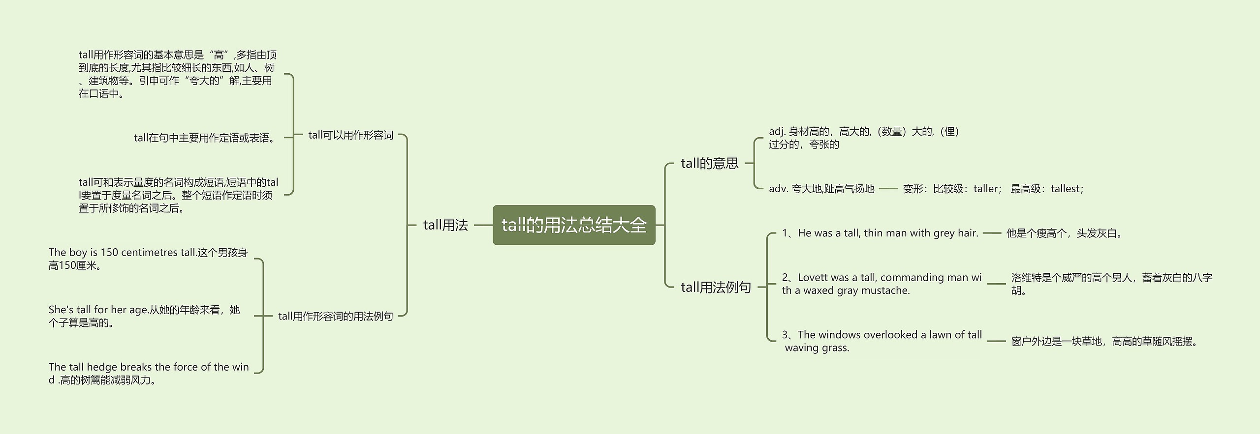 tall的用法总结大全