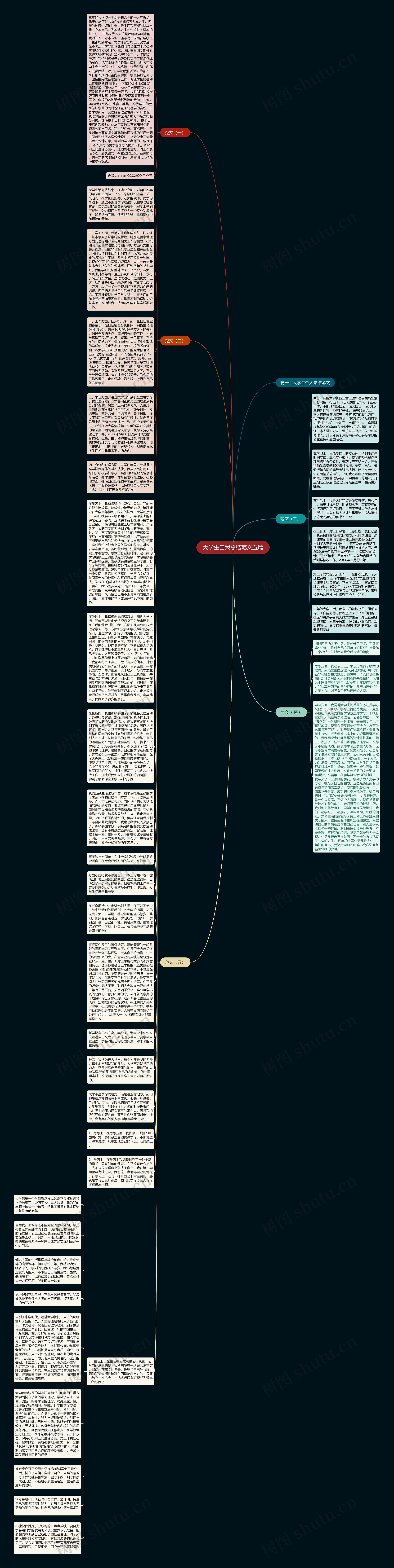 大学生自我总结范文五篇思维导图