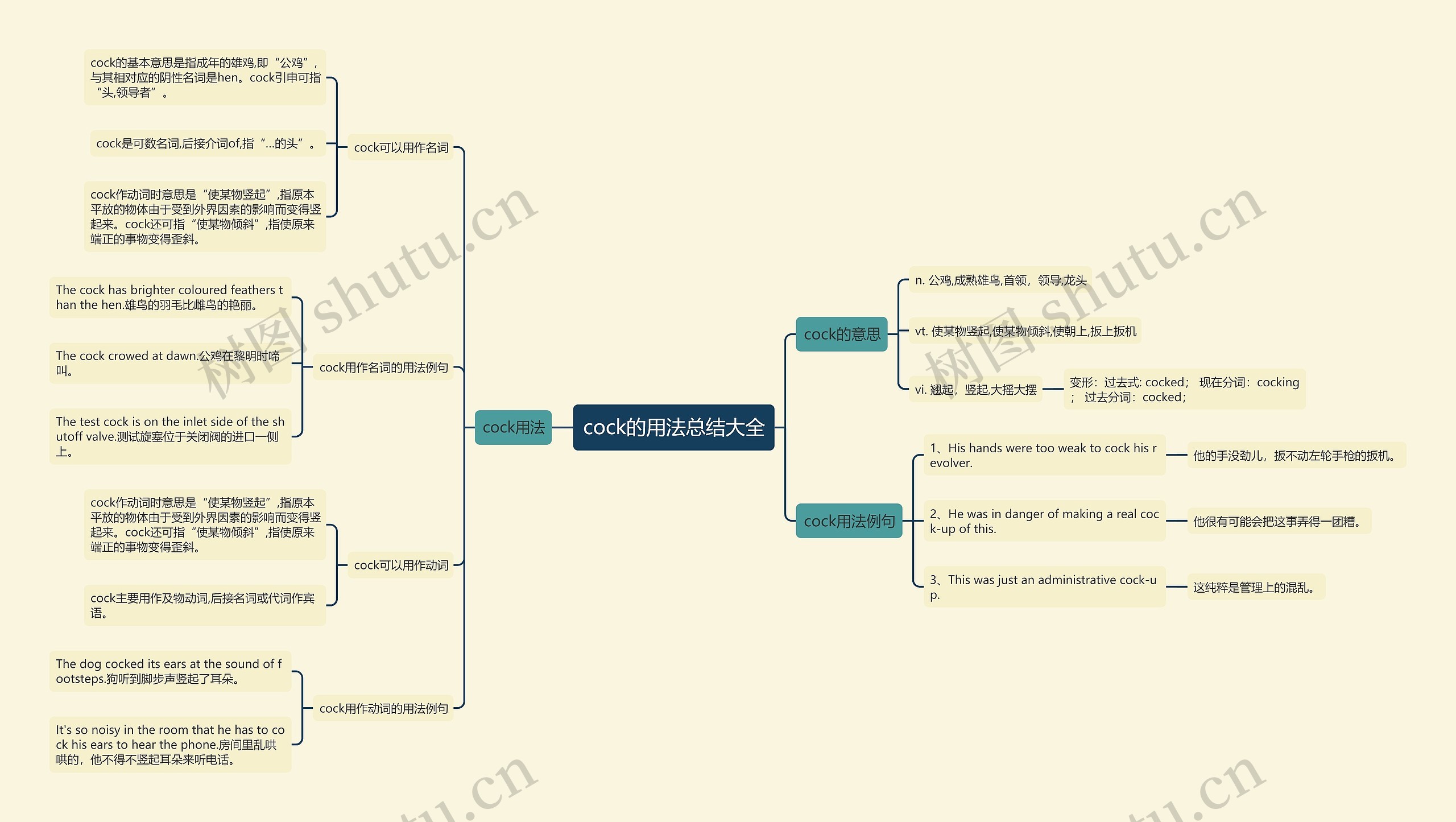 cock的用法总结大全思维导图