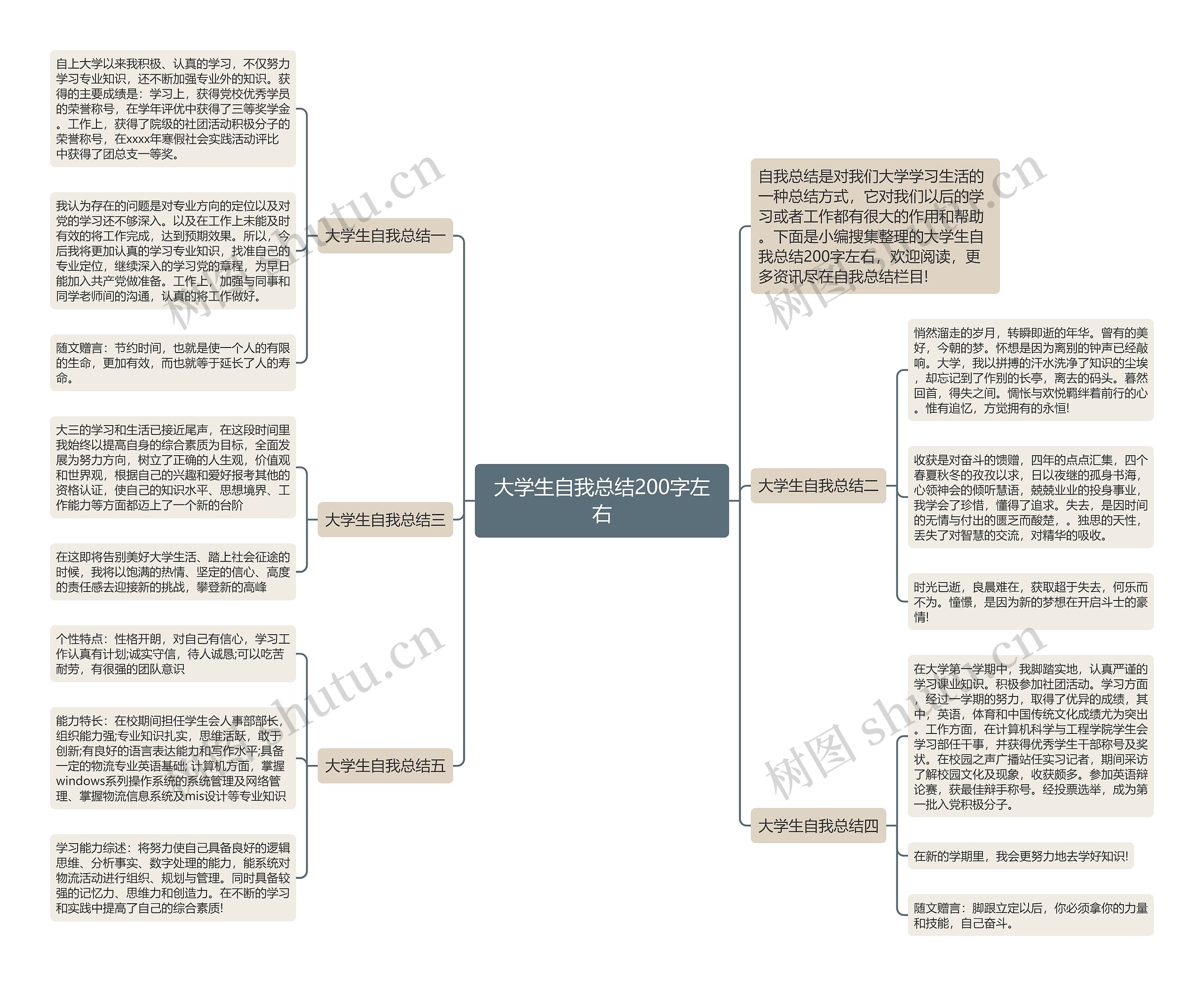 大学生自我总结200字左右思维导图