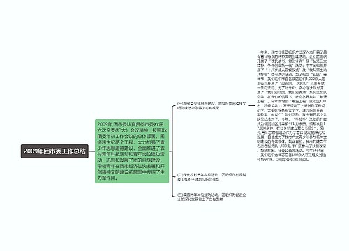 2009年团市委工作总结