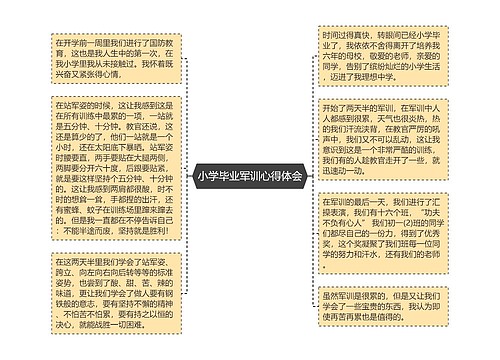 小学毕业军训心得体会