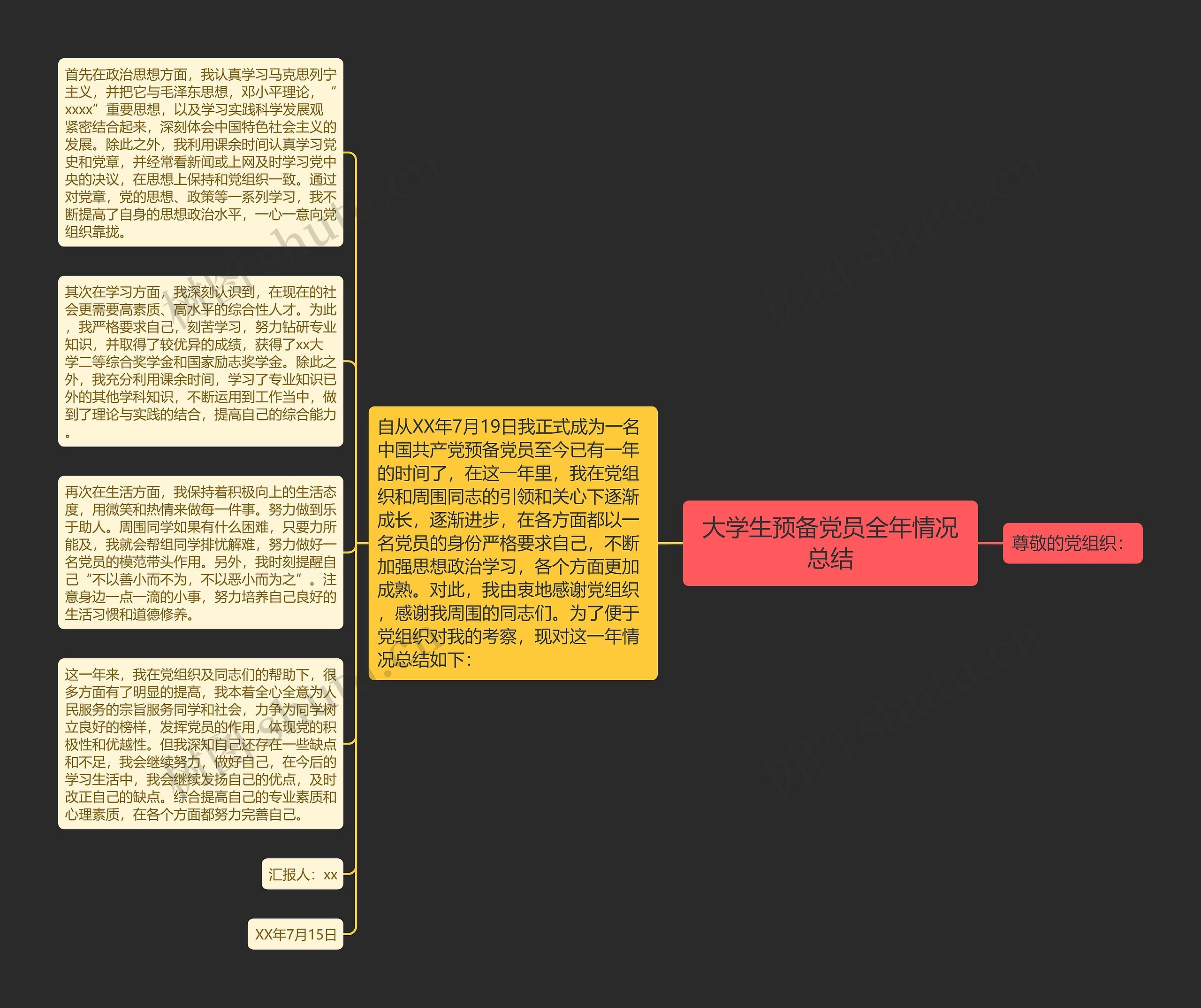 大学生预备党员全年情况总结思维导图