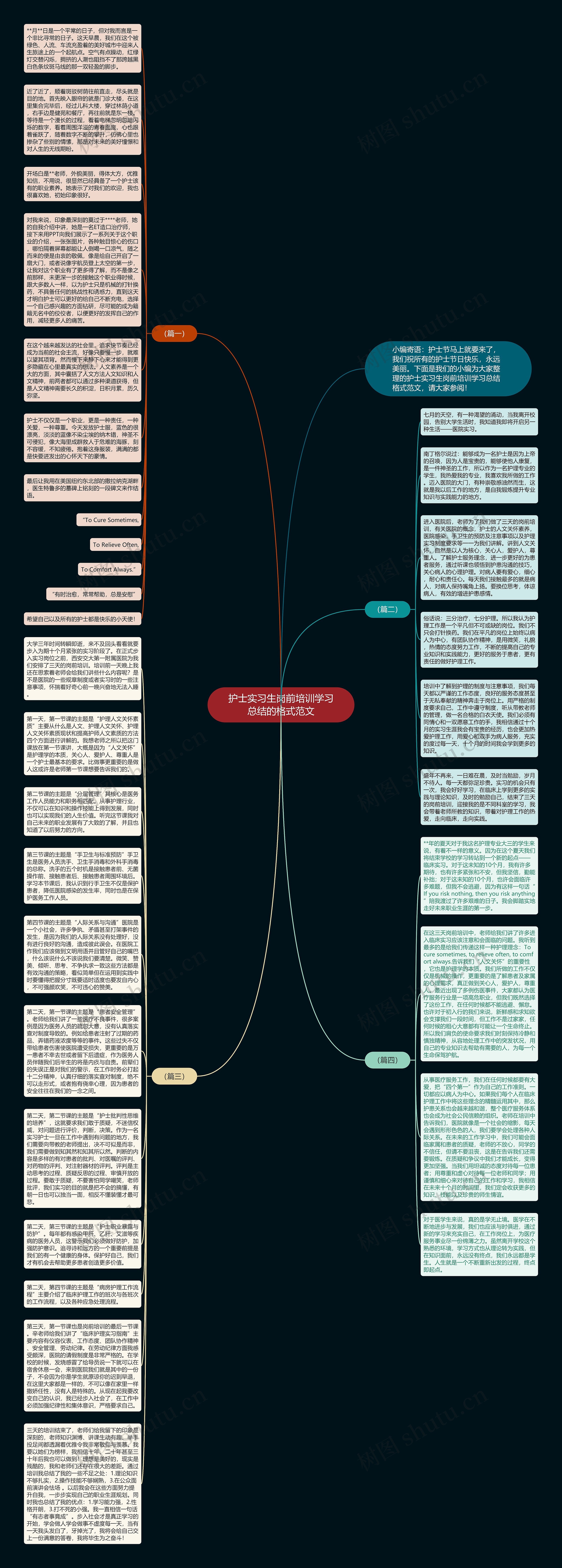 护士实习生岗前培训学习总结的格式范文