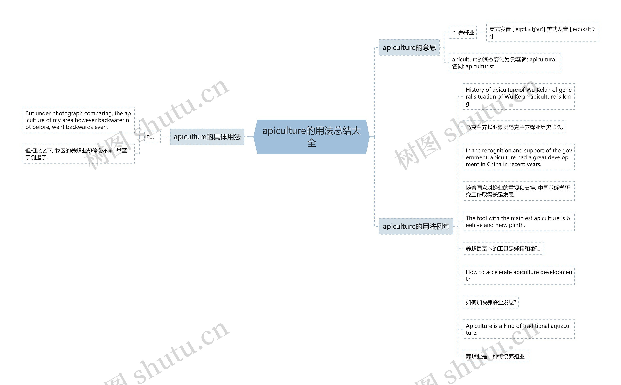 apiculture的用法总结大全思维导图