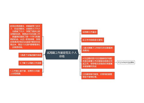 试用期工作鉴定范文,个人总结