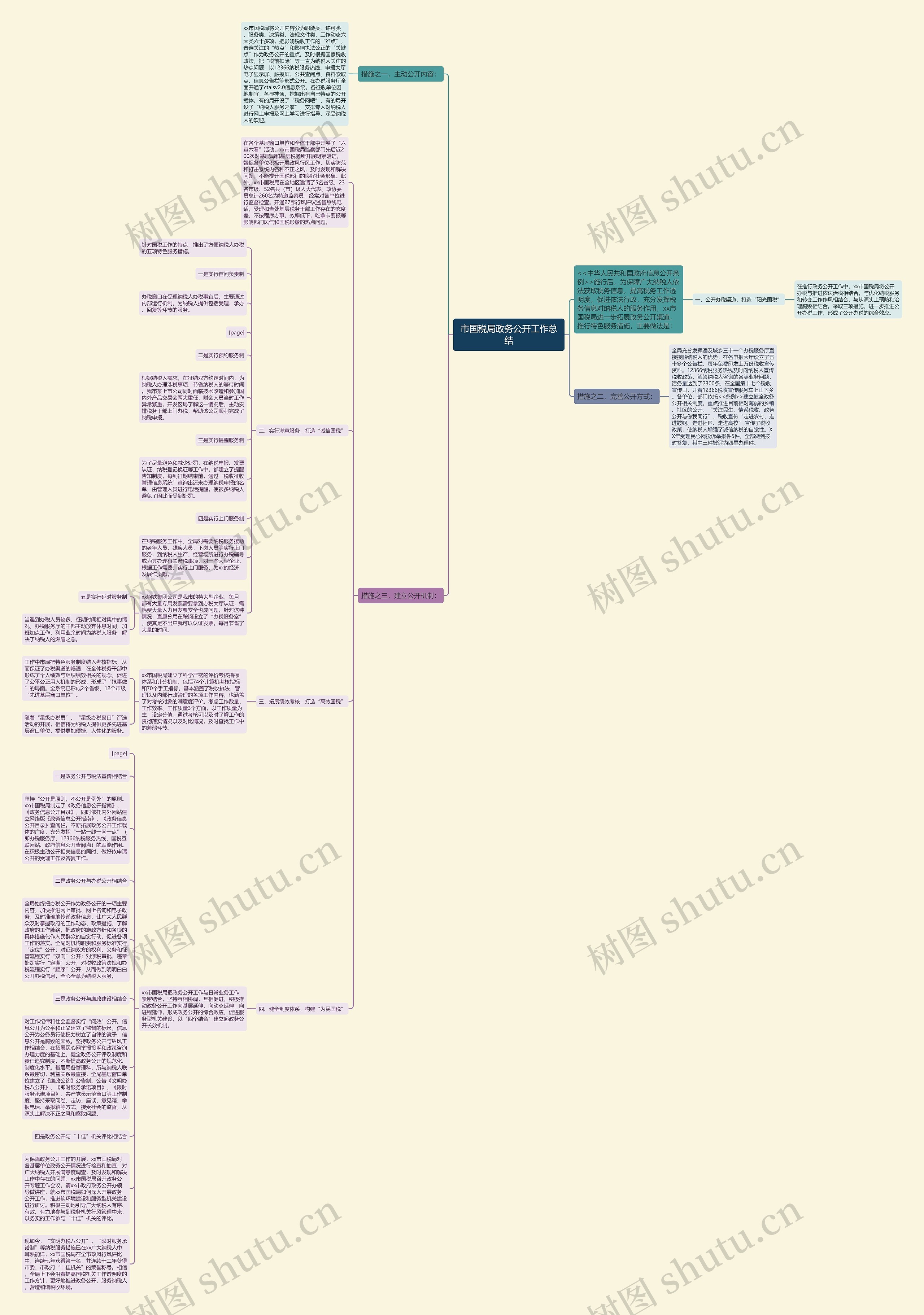 市国税局政务公开工作总结思维导图