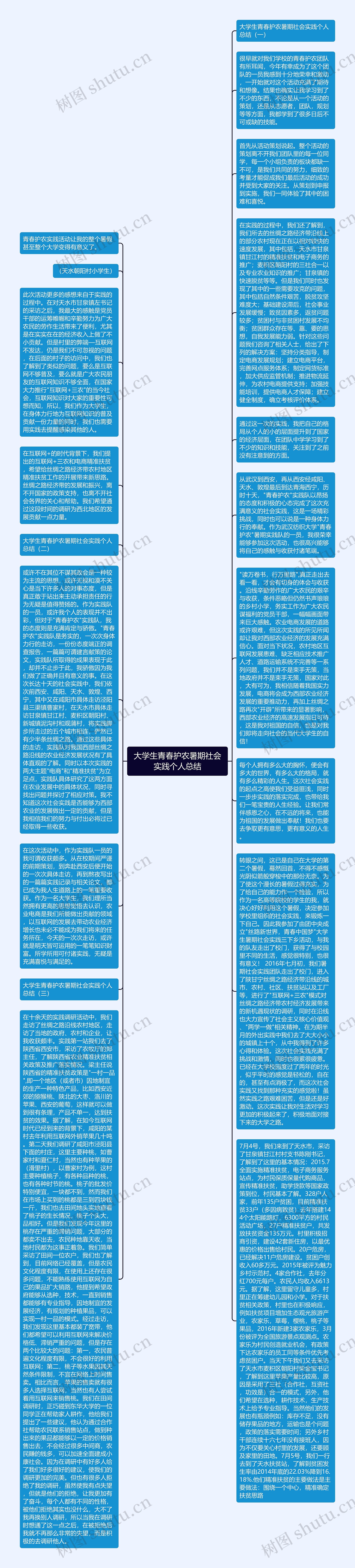 大学生青春护农暑期社会实践个人总结思维导图