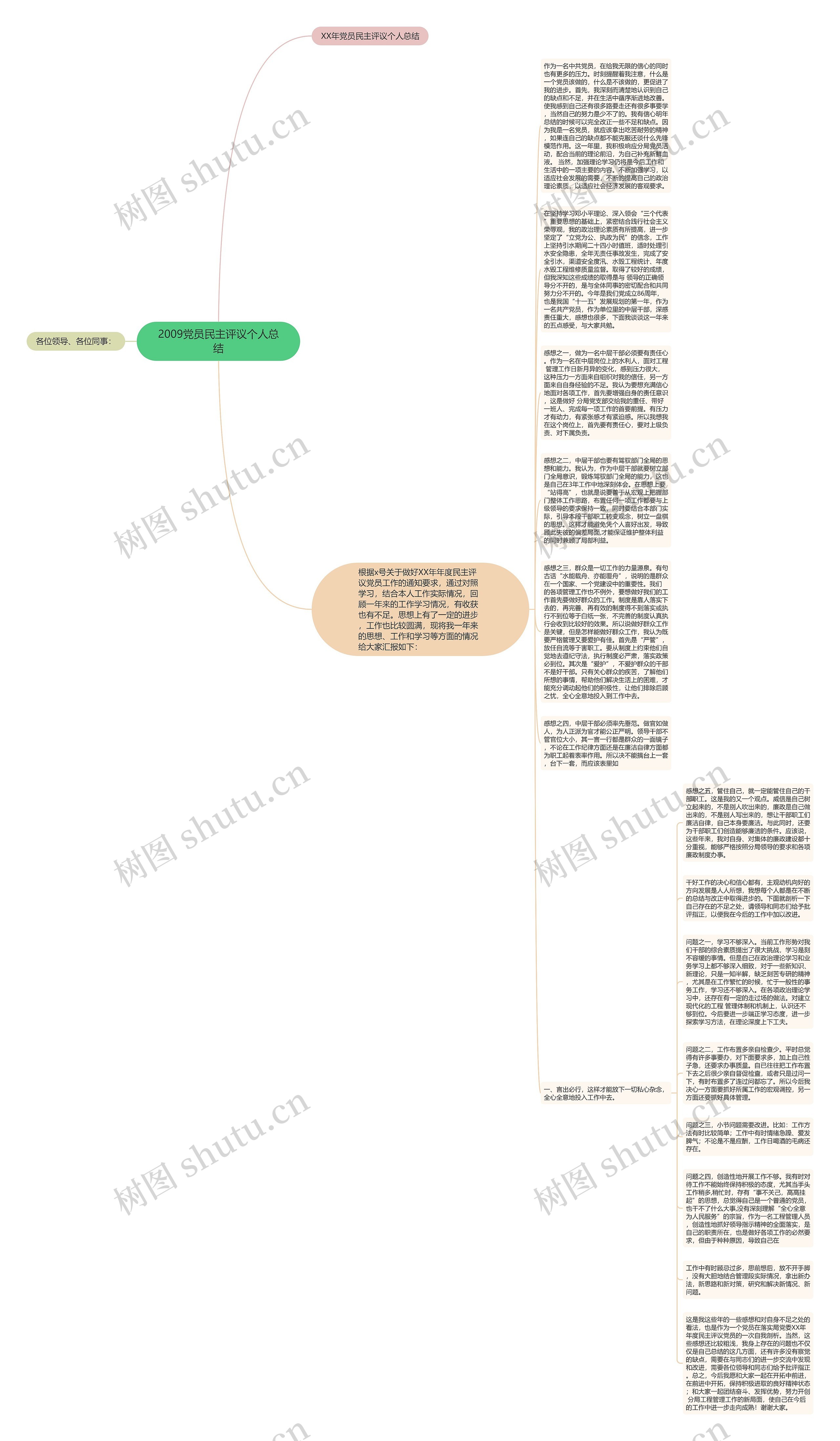 2009党员民主评议个人总结思维导图