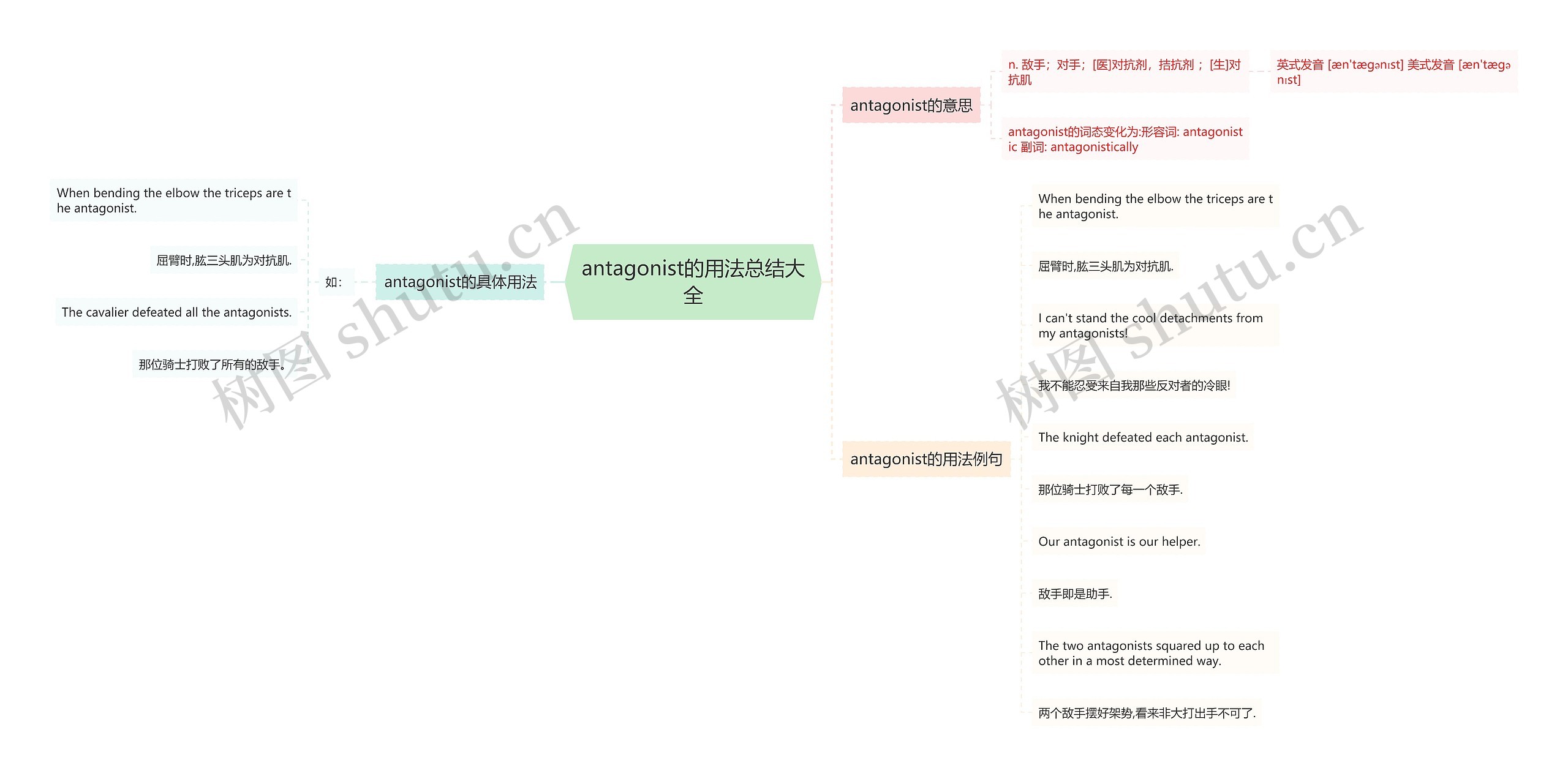 antagonist的用法总结大全思维导图
