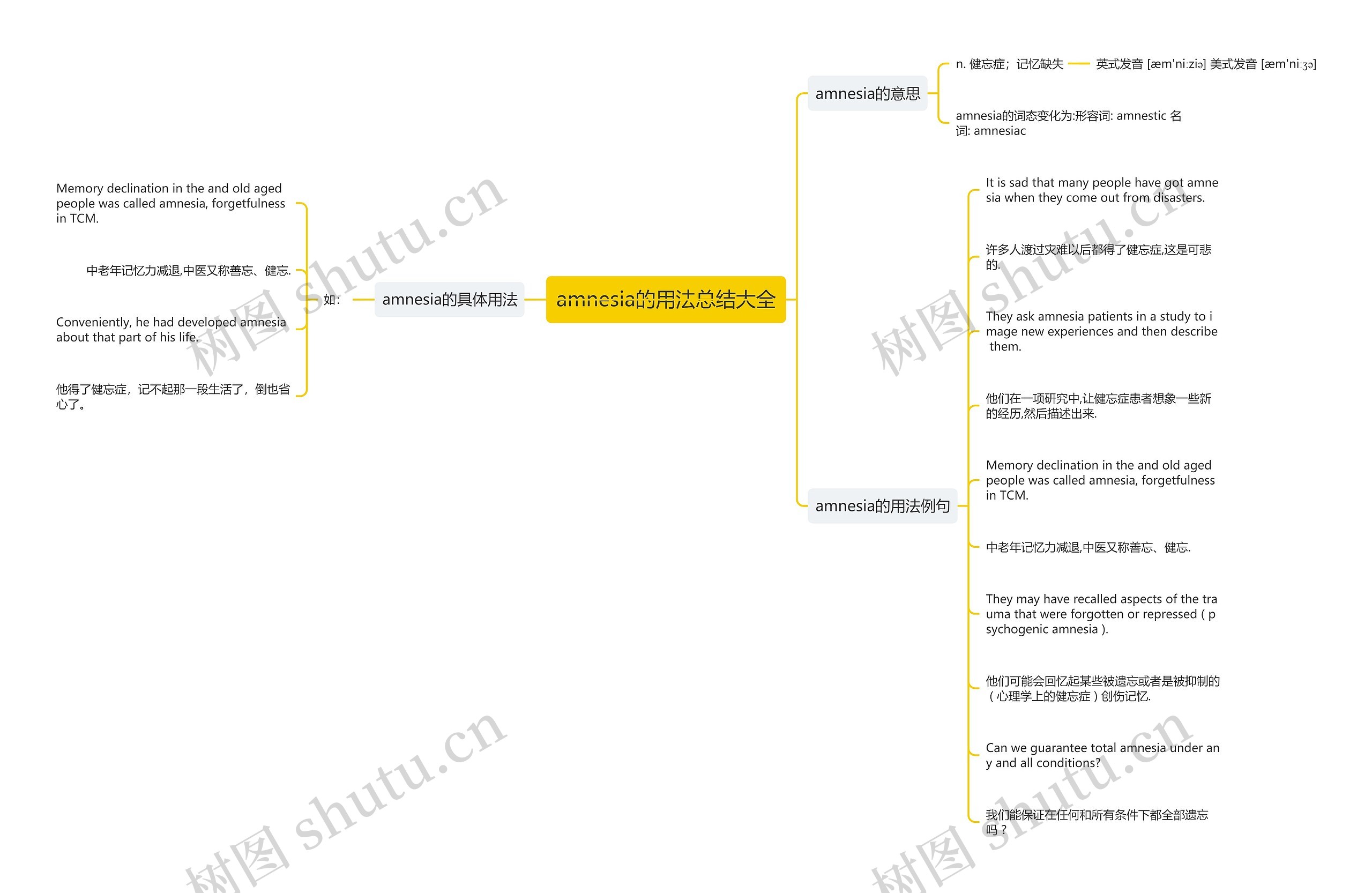amnesia的用法总结大全思维导图