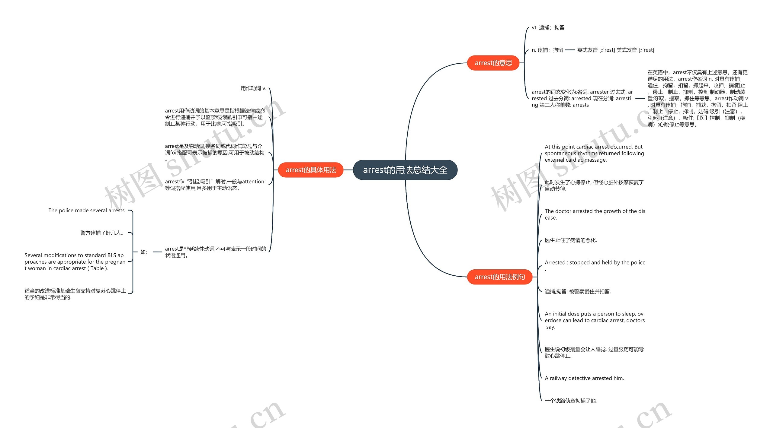 arrest的用法总结大全思维导图