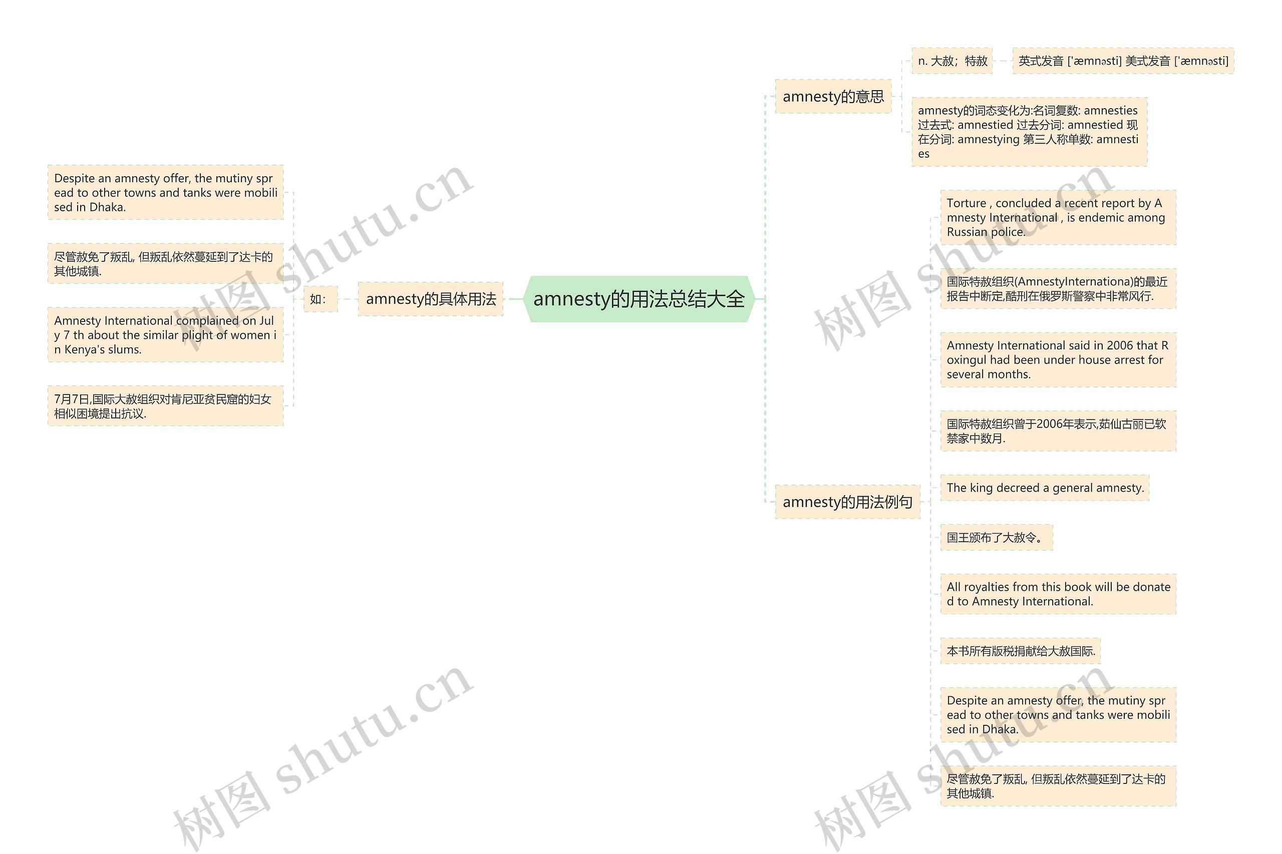 amnesty的用法总结大全思维导图