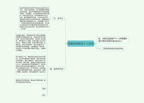 预备党员转正个人总结