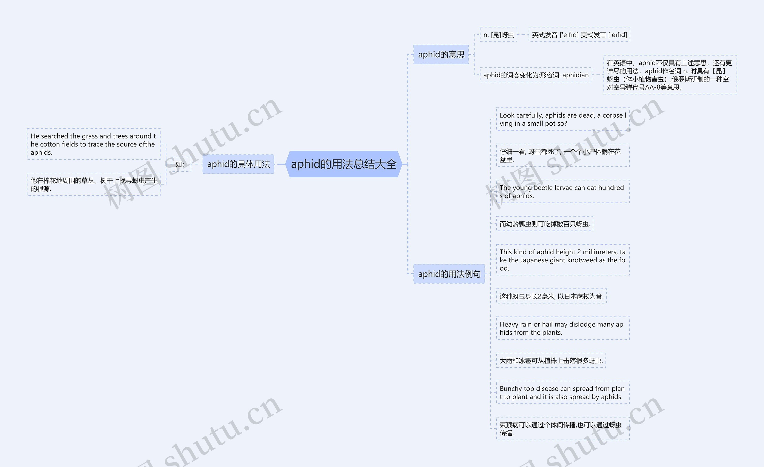 aphid的用法总结大全思维导图