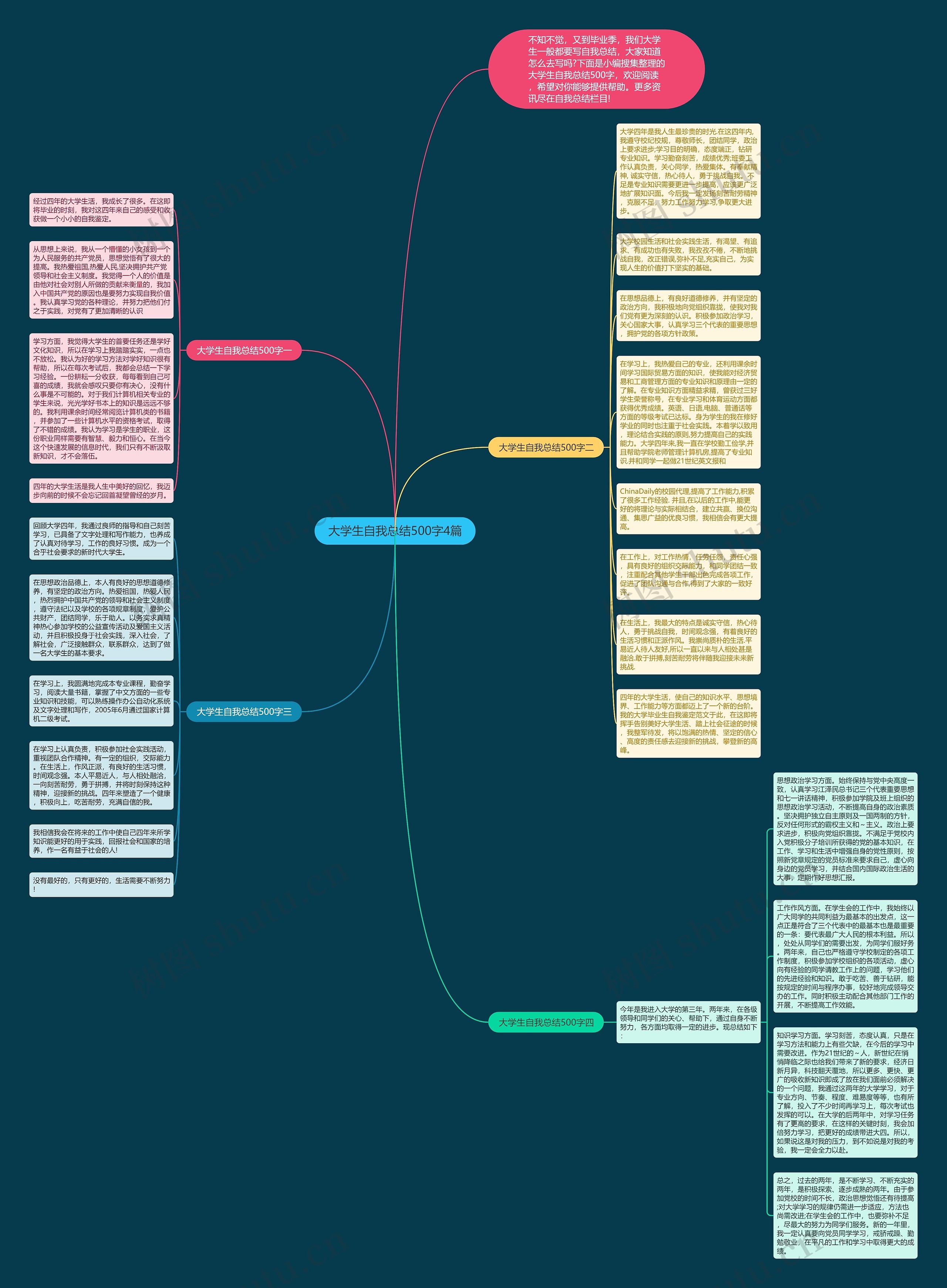 大学生自我总结500字4篇思维导图