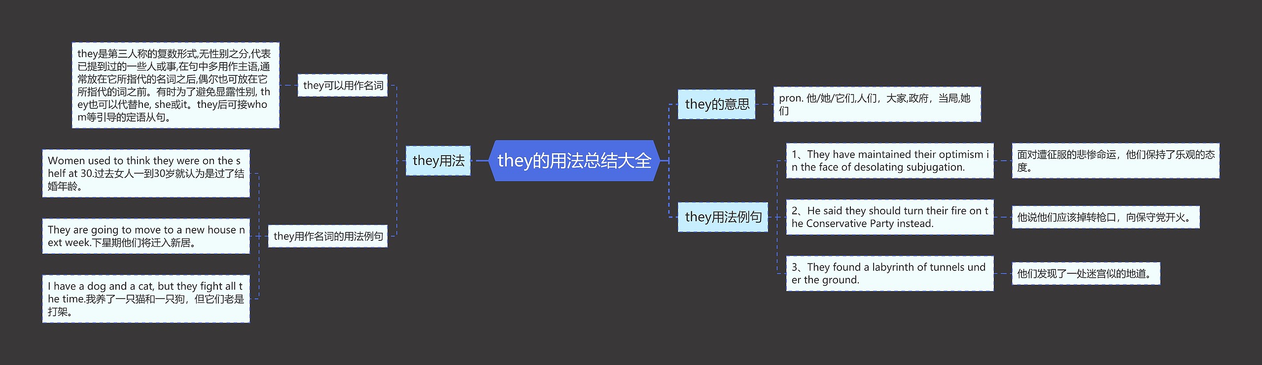 they的用法总结大全思维导图