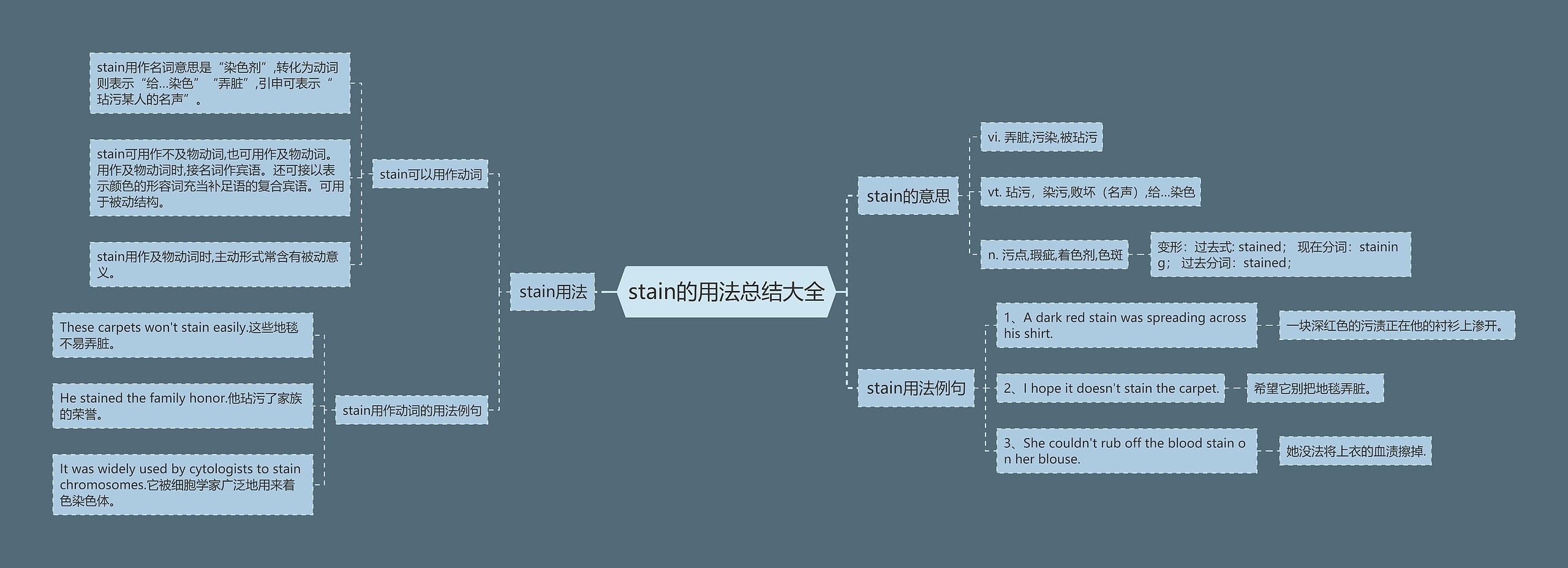 stain的用法总结大全思维导图