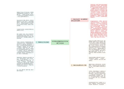 中学党支部委员会2009年度工作总结