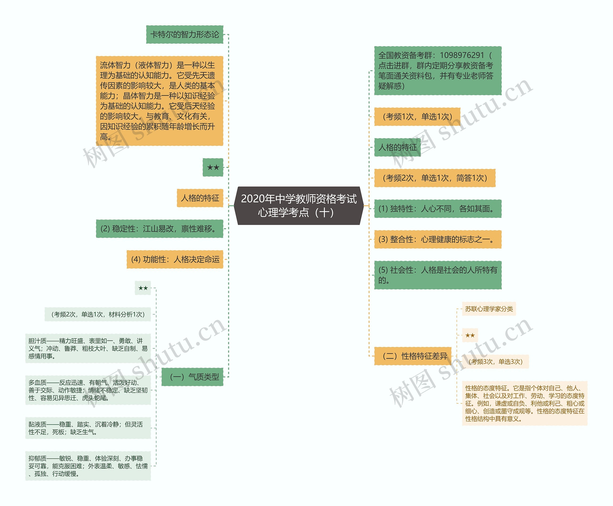 2020年中学教师资格考试心理学考点（十）思维导图