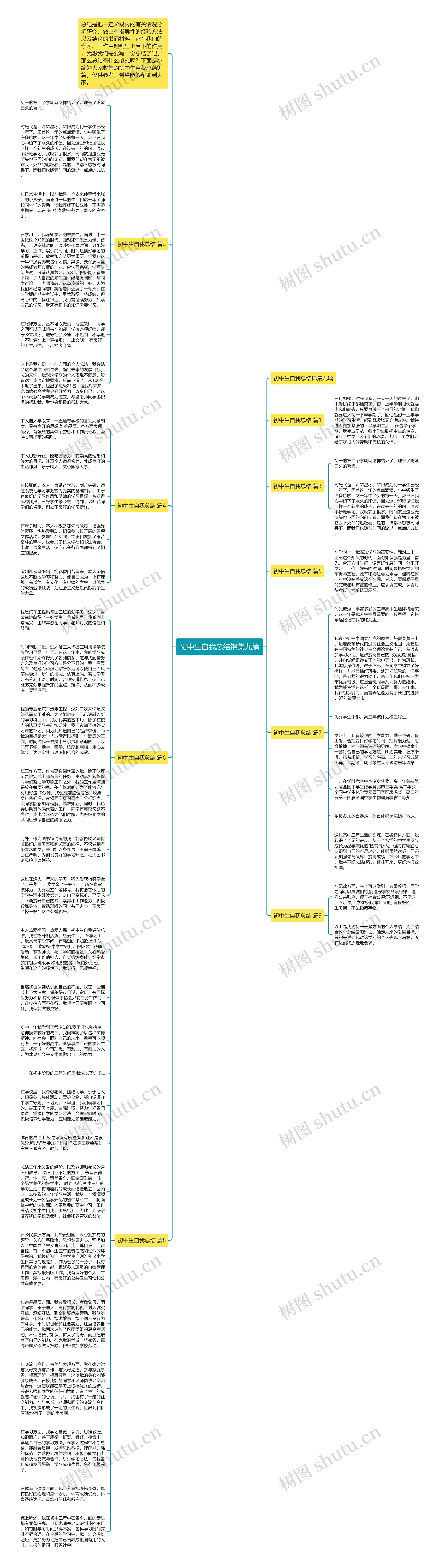 初中生自我总结锦集九篇思维导图