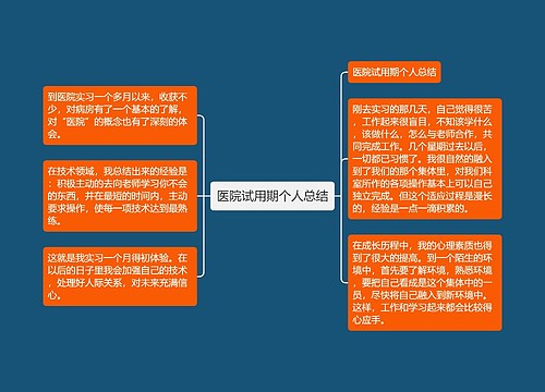 医院试用期个人总结