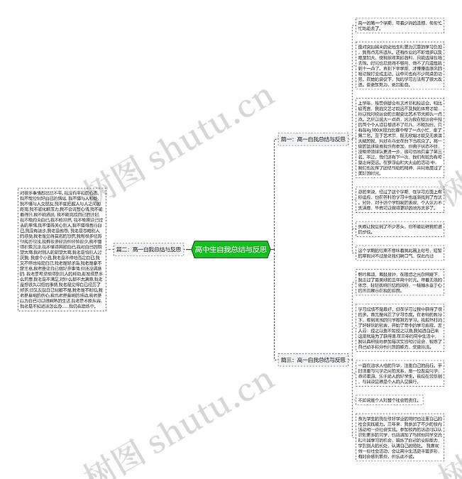 高中生自我总结与反思思维导图_编号p9094659-TreeMind树图