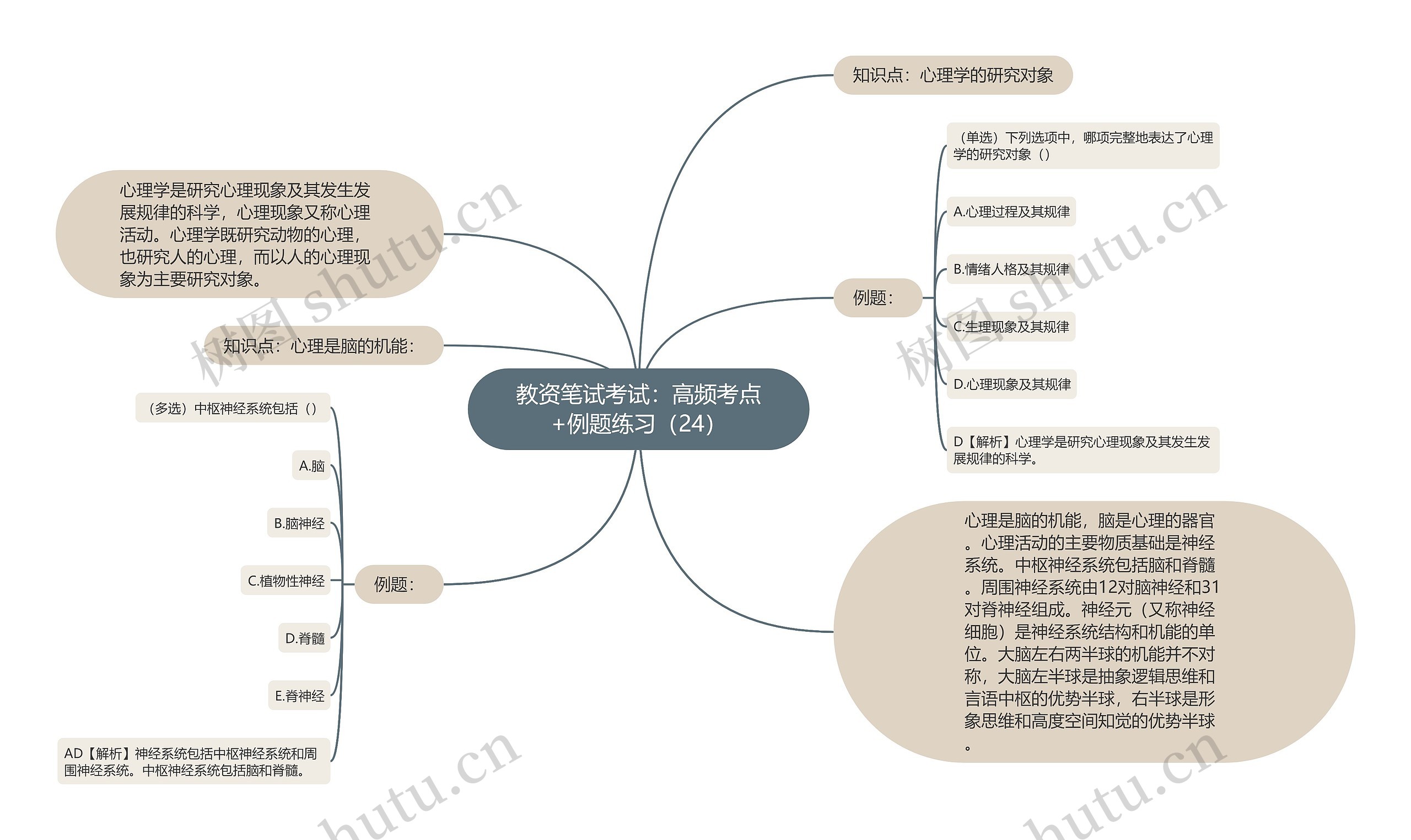 教资笔试考试：高频考点+例题练习（24）思维导图