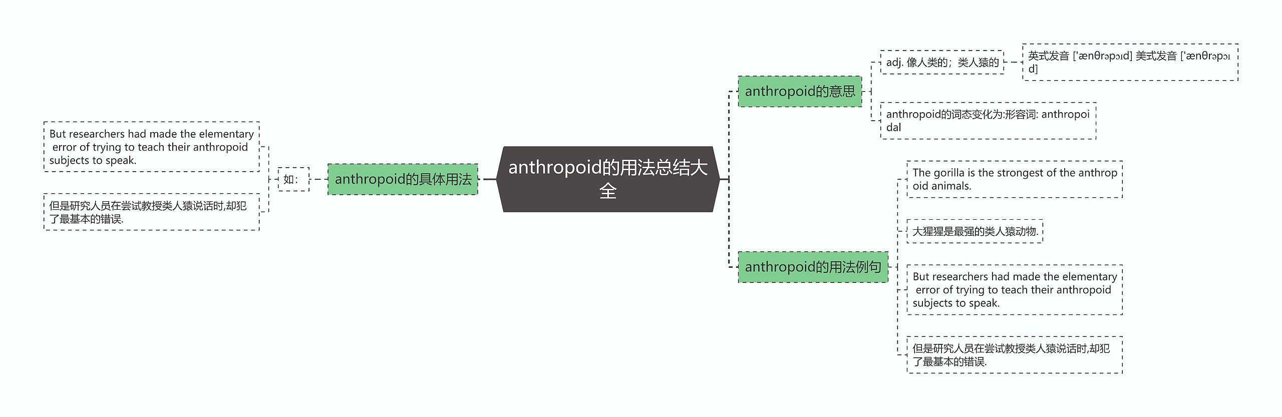 anthropoid的用法总结大全思维导图