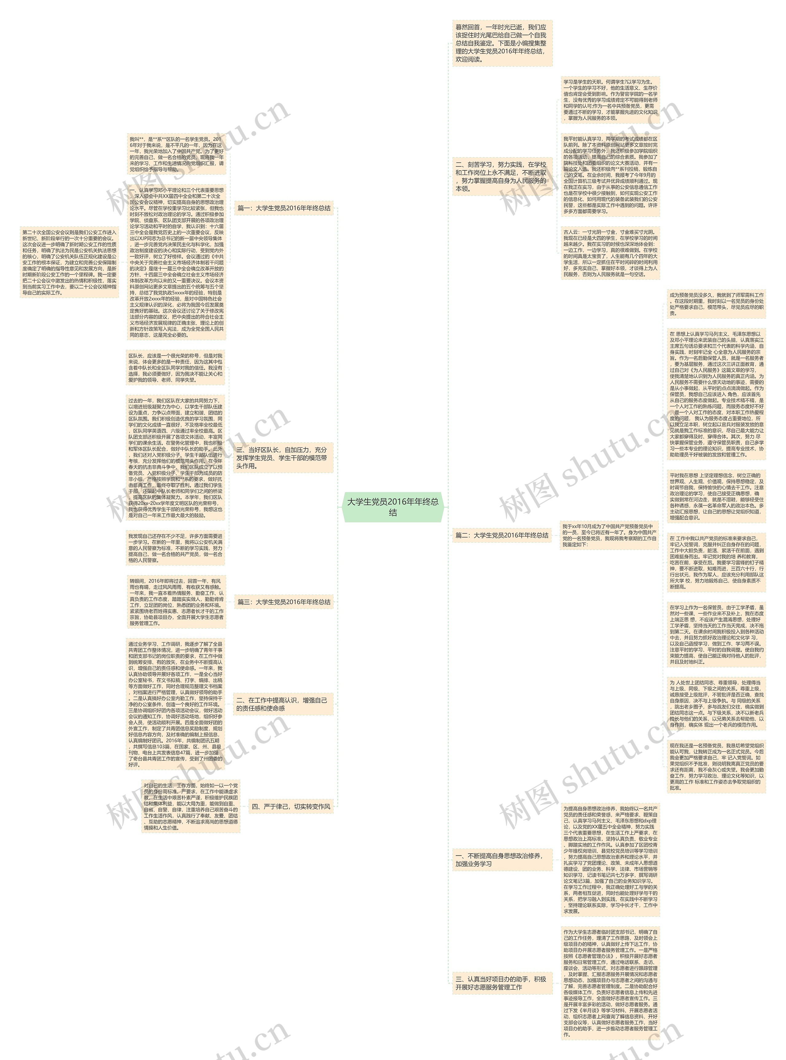 大学生党员2016年年终总结思维导图