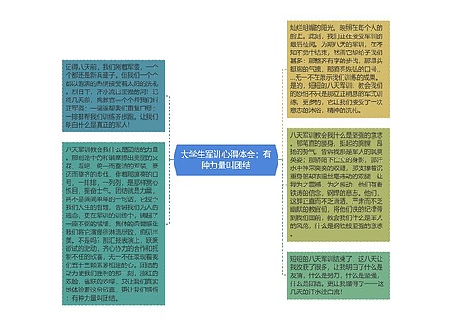 大学生军训心得体会：有种力量叫团结