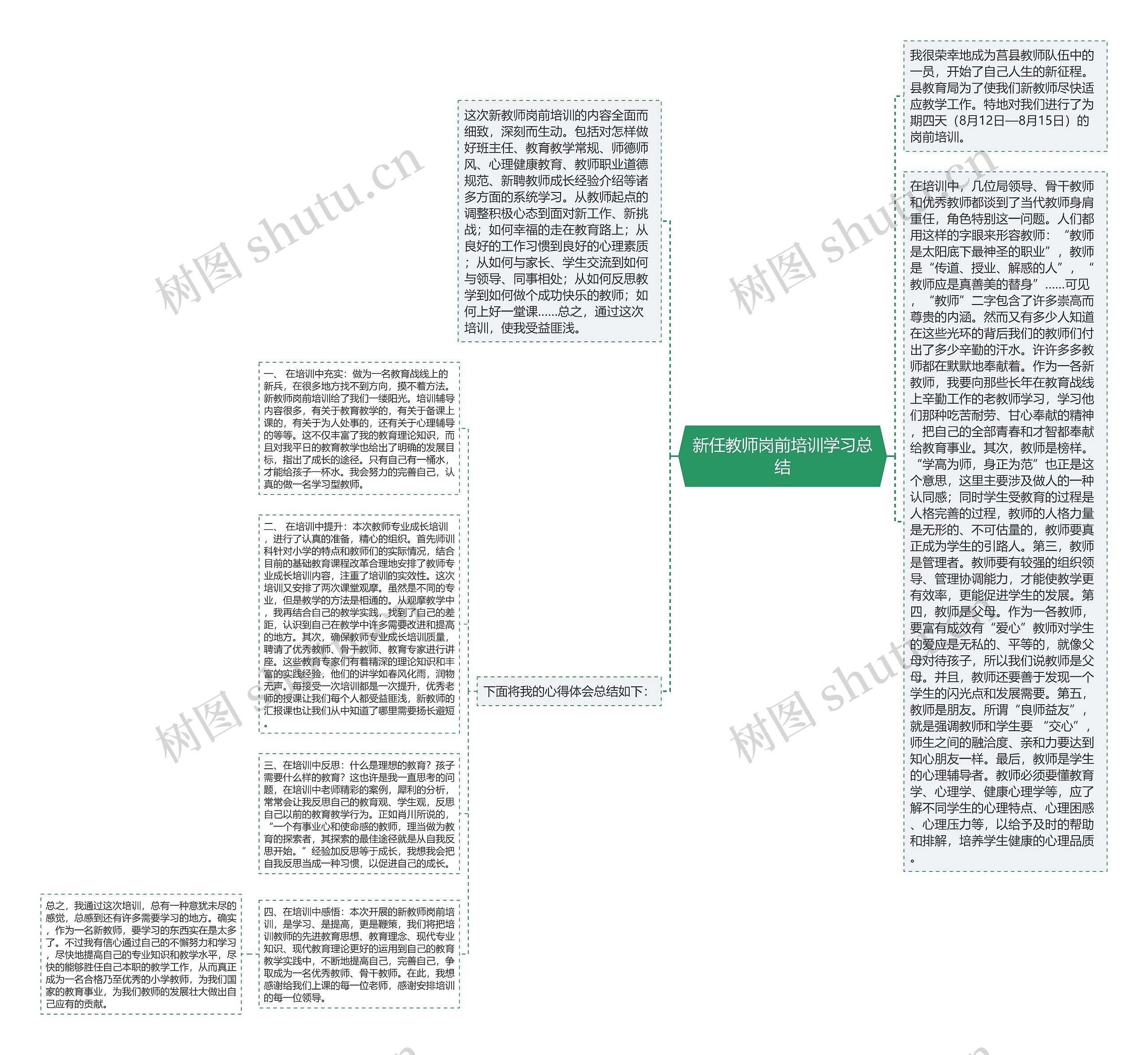 新任教师岗前培训学习总结