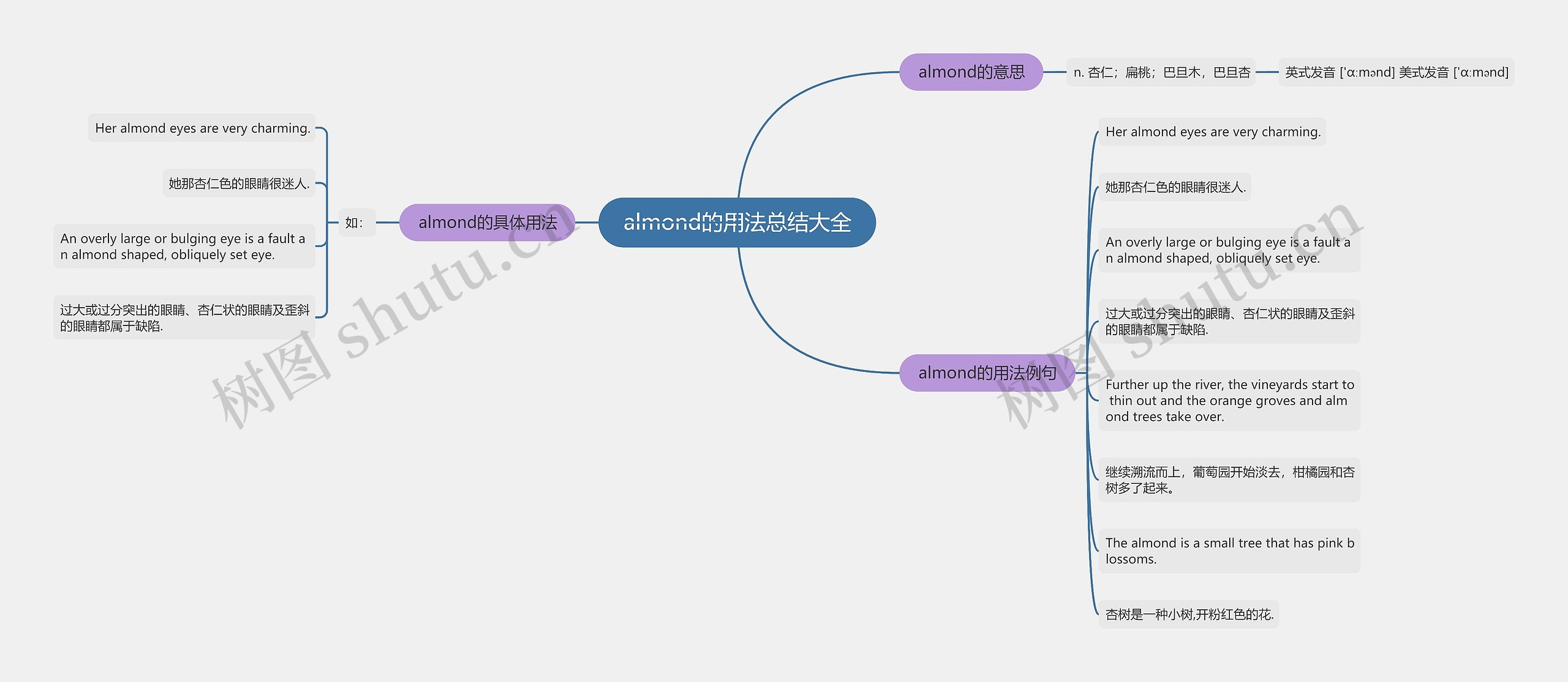 almond的用法总结大全思维导图