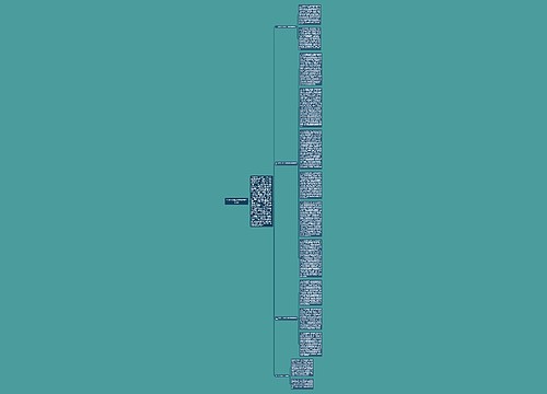 2016年区政府领导班子工作总结