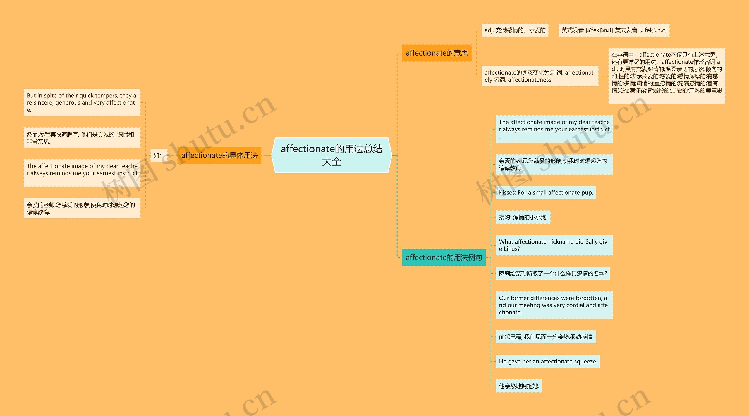 affectionate的用法总结大全思维导图