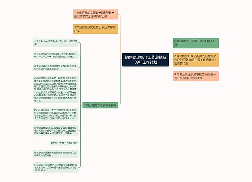 销售助理08年工作总结及09年工作计划