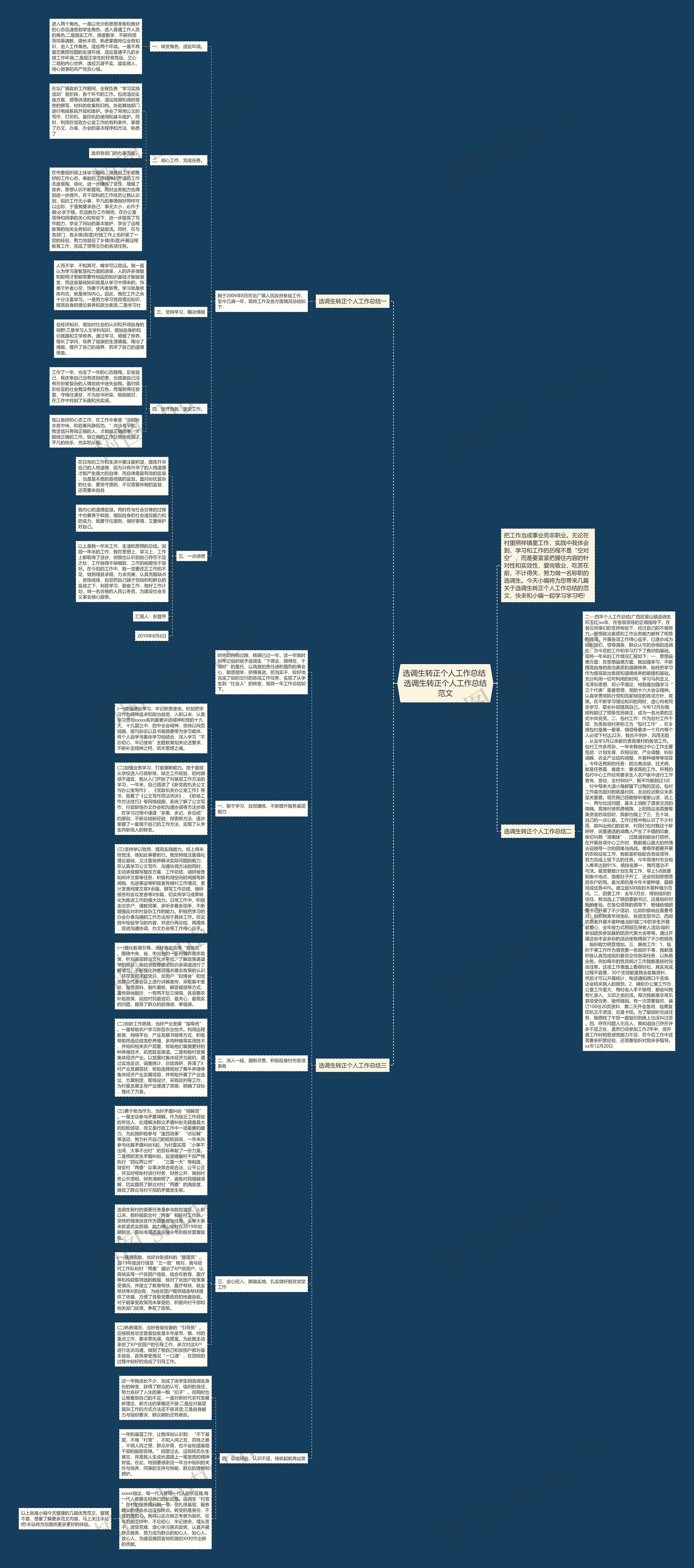 选调生转正个人工作总结 选调生转正个人工作总结范文思维导图