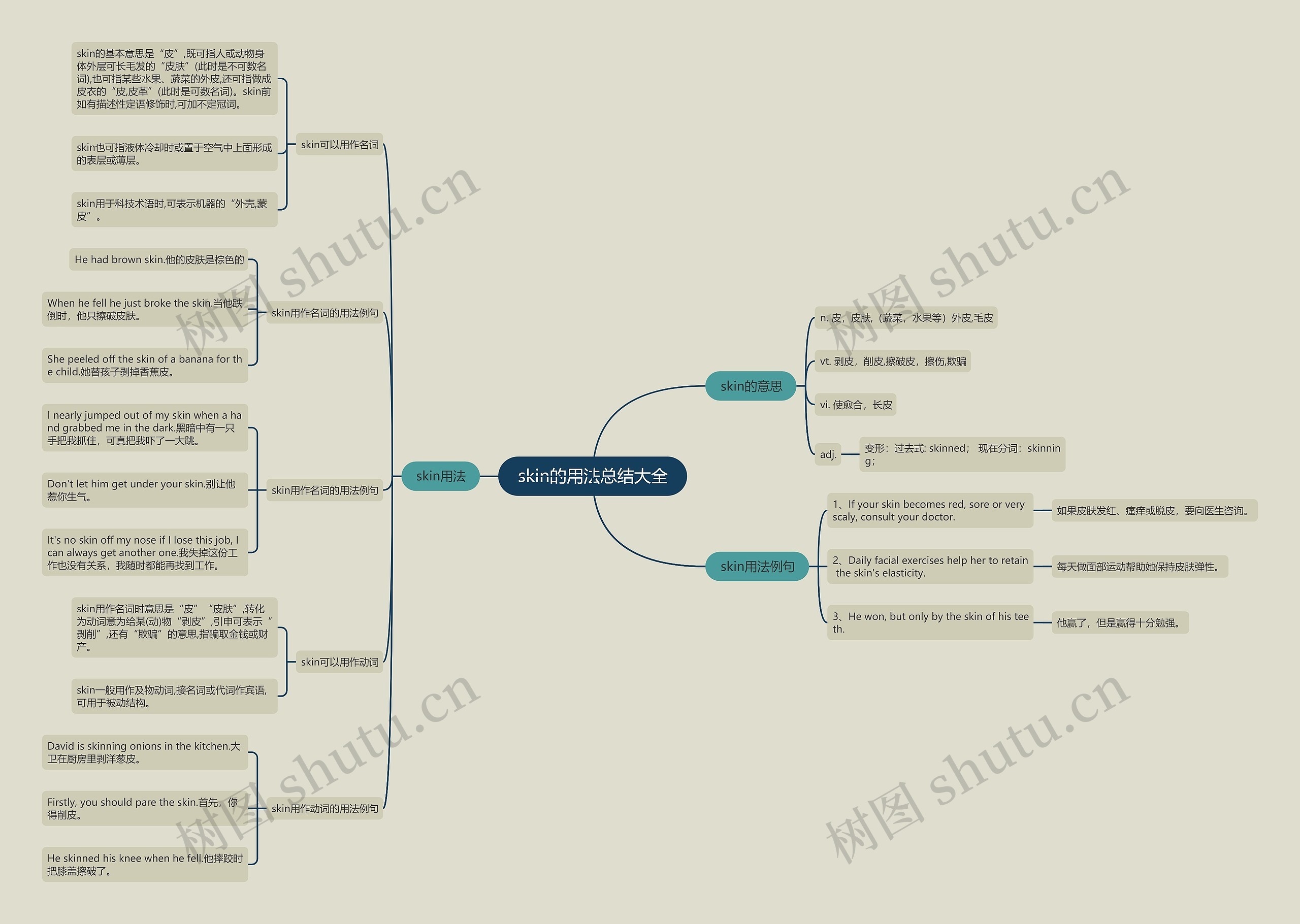 skin的用法总结大全思维导图