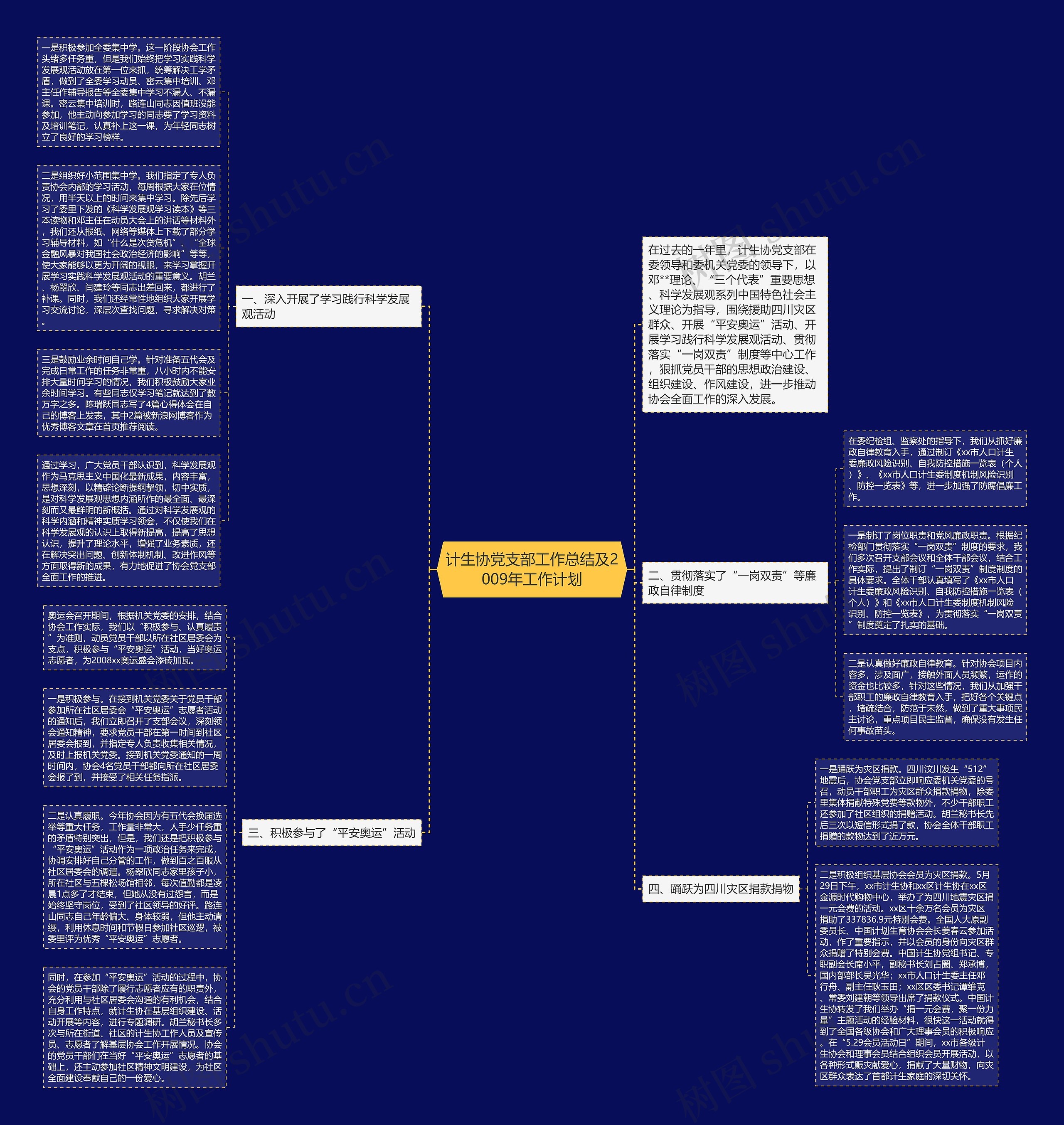 计生协党支部工作总结及2009年工作计划思维导图