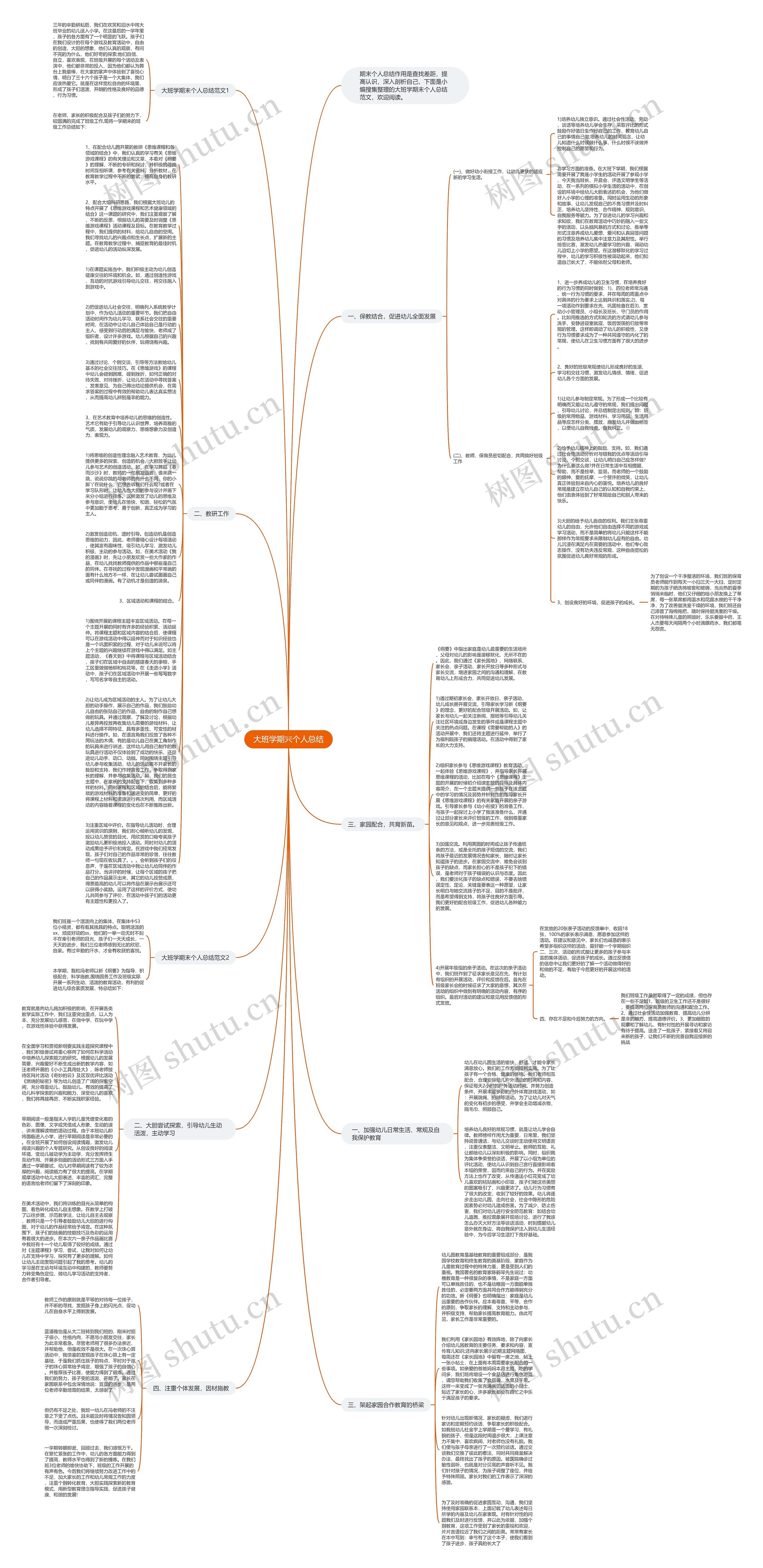 大班学期末个人总结思维导图