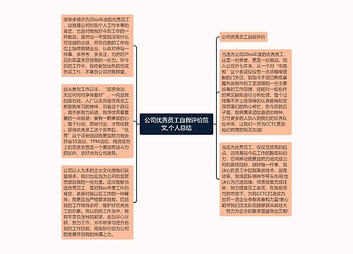 公司优秀员工自我评价范文,个人总结