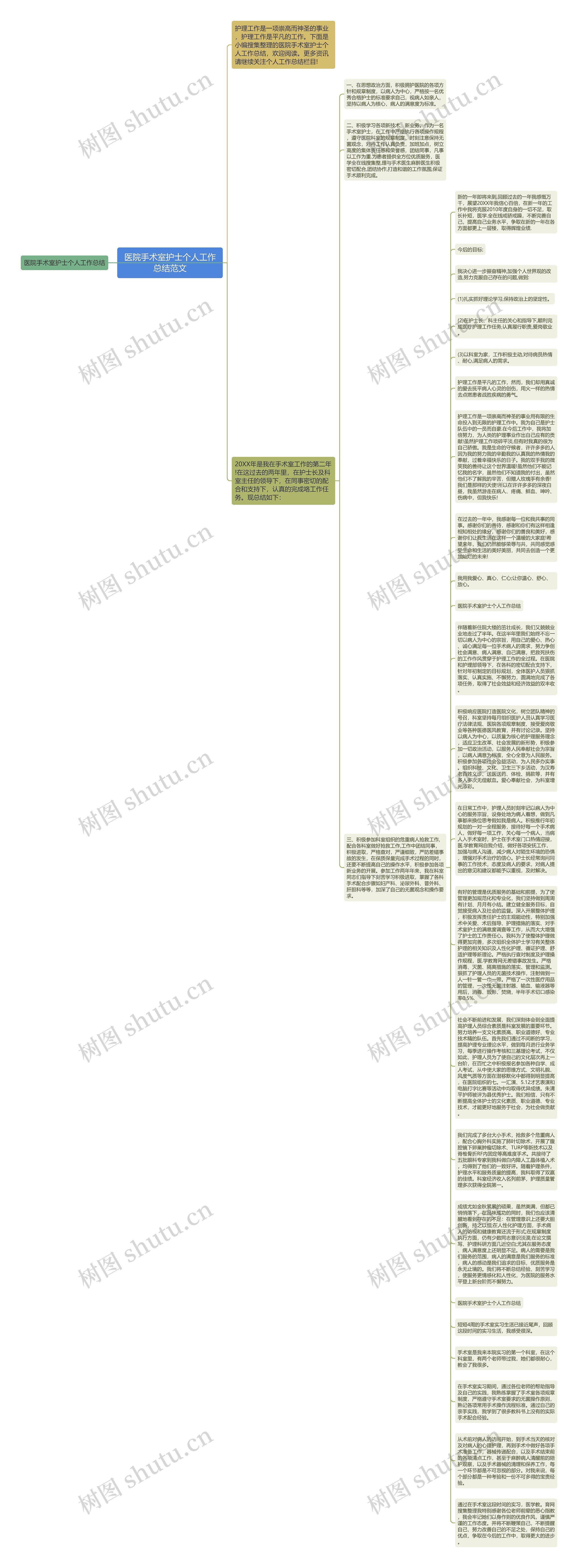 医院手术室护士个人工作总结范文思维导图