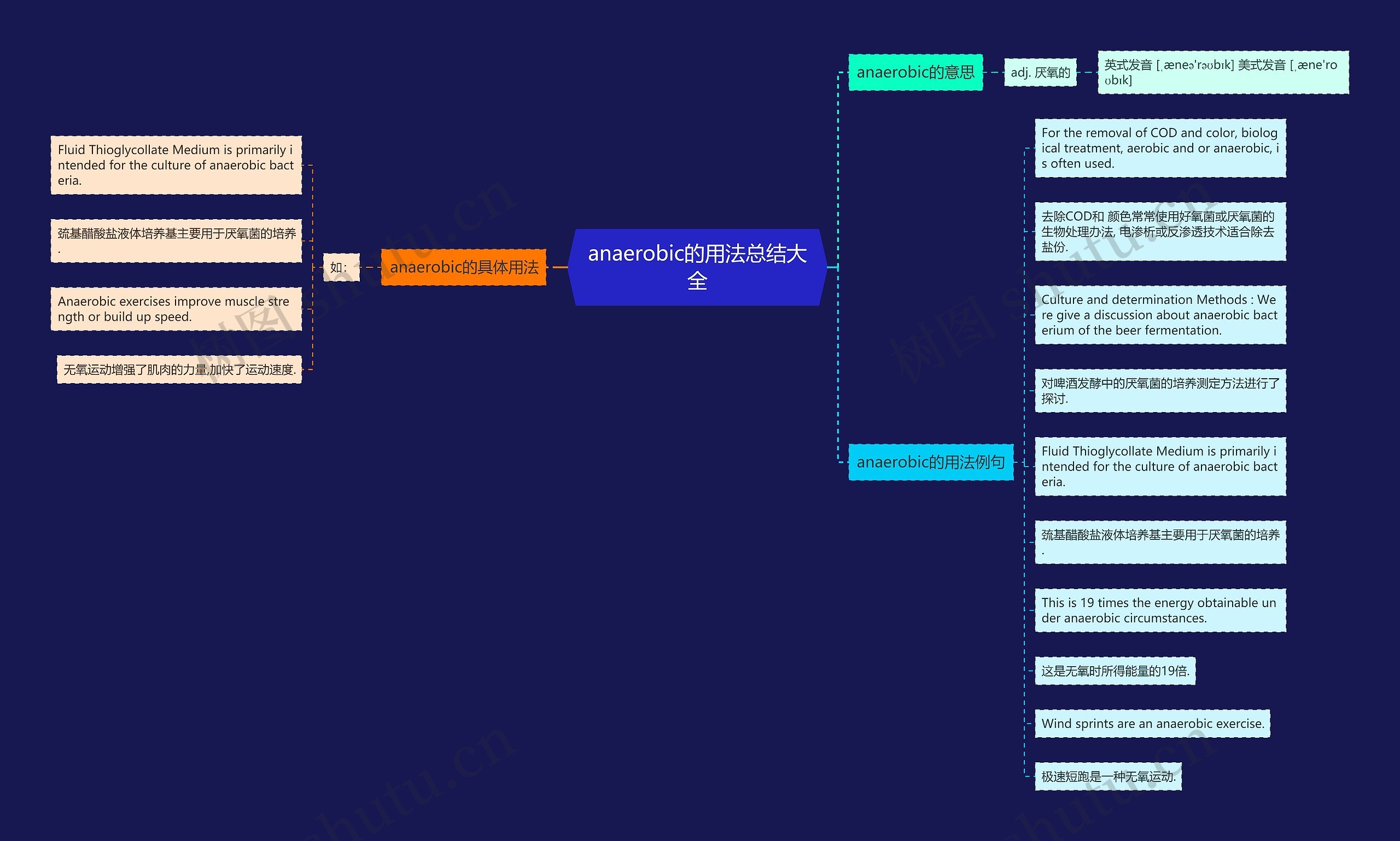 anaerobic的用法总结大全