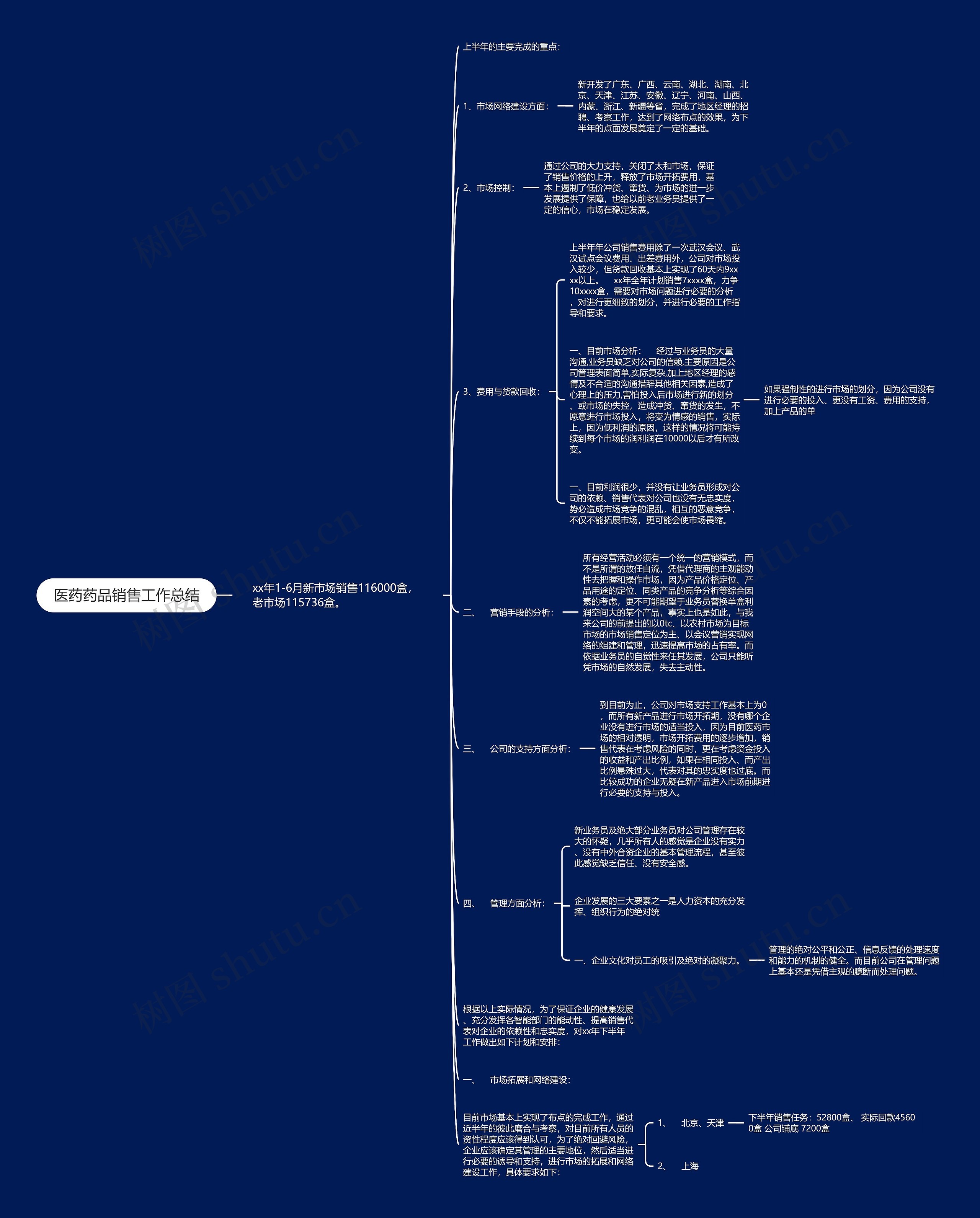 医药药品销售工作总结思维导图