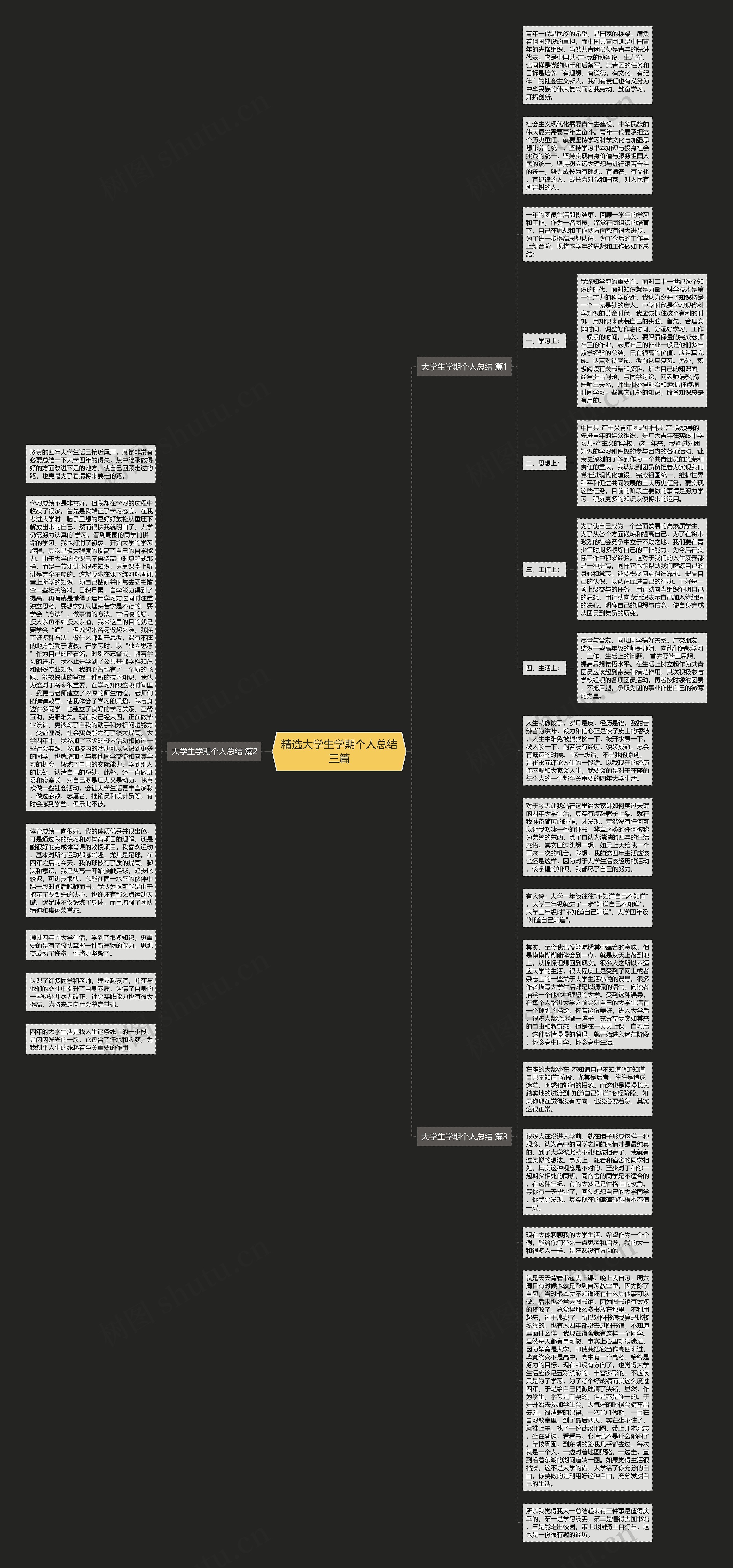精选大学生学期个人总结三篇思维导图