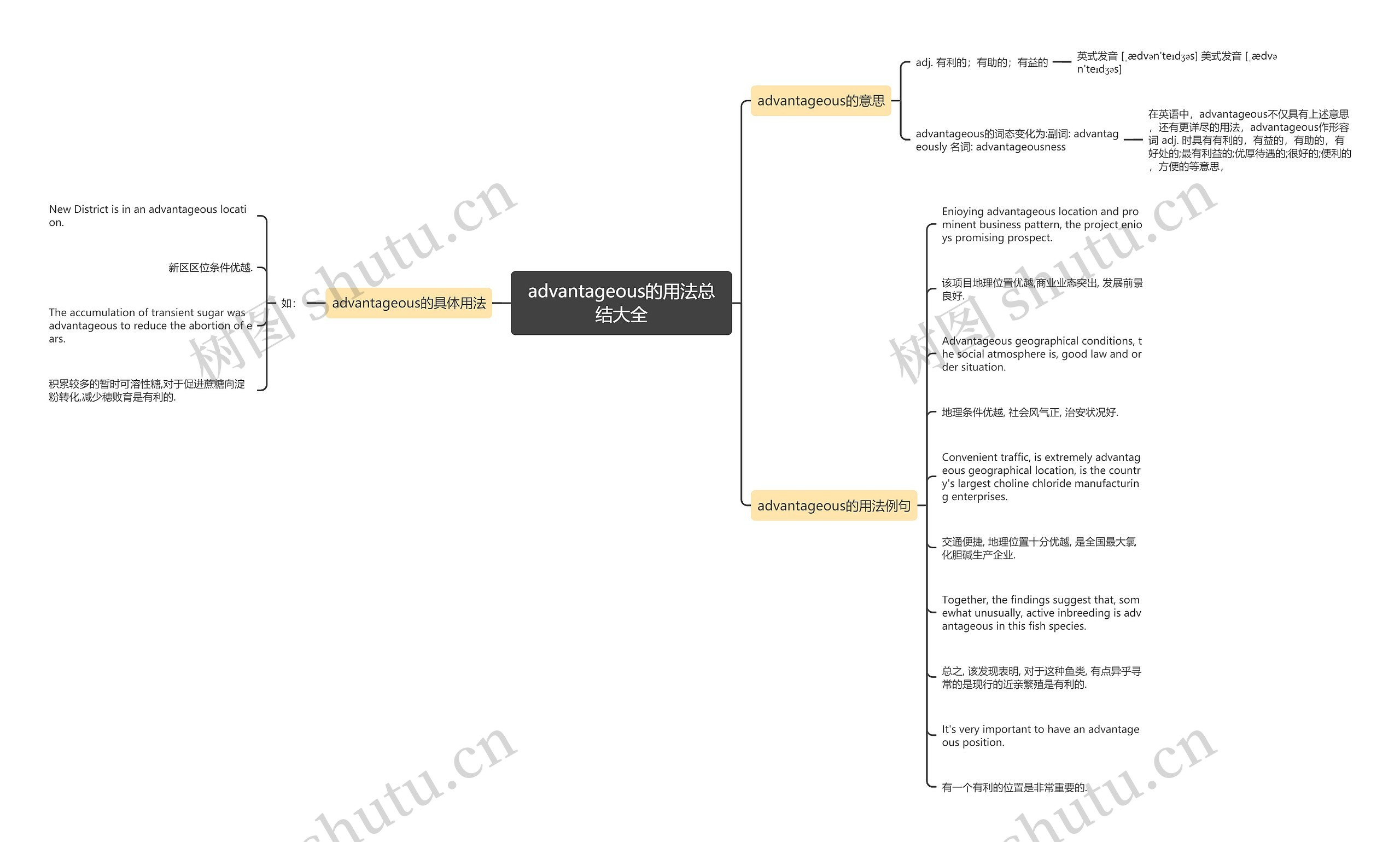 advantageous的用法总结大全思维导图