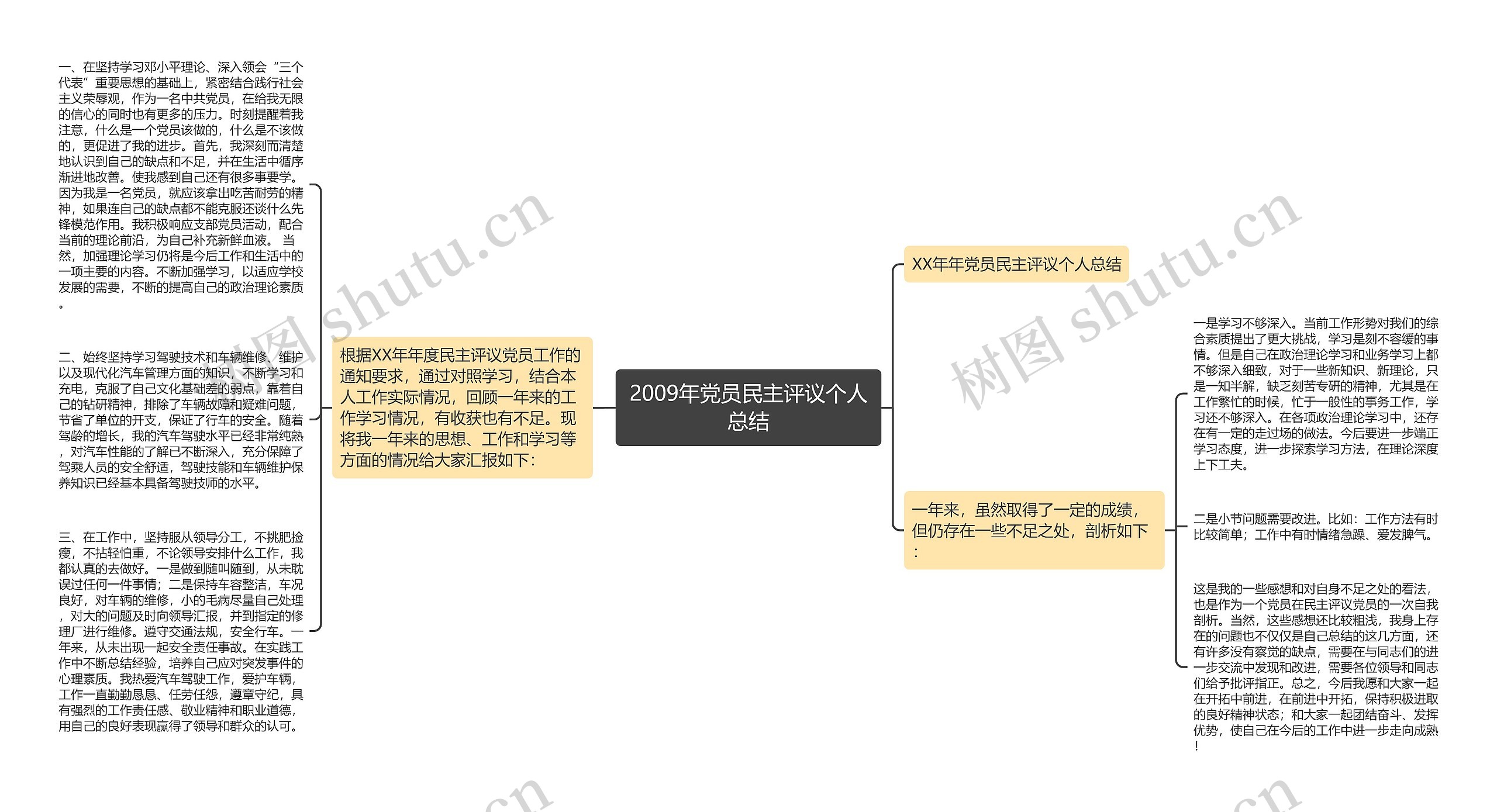 2009年党员民主评议个人总结思维导图