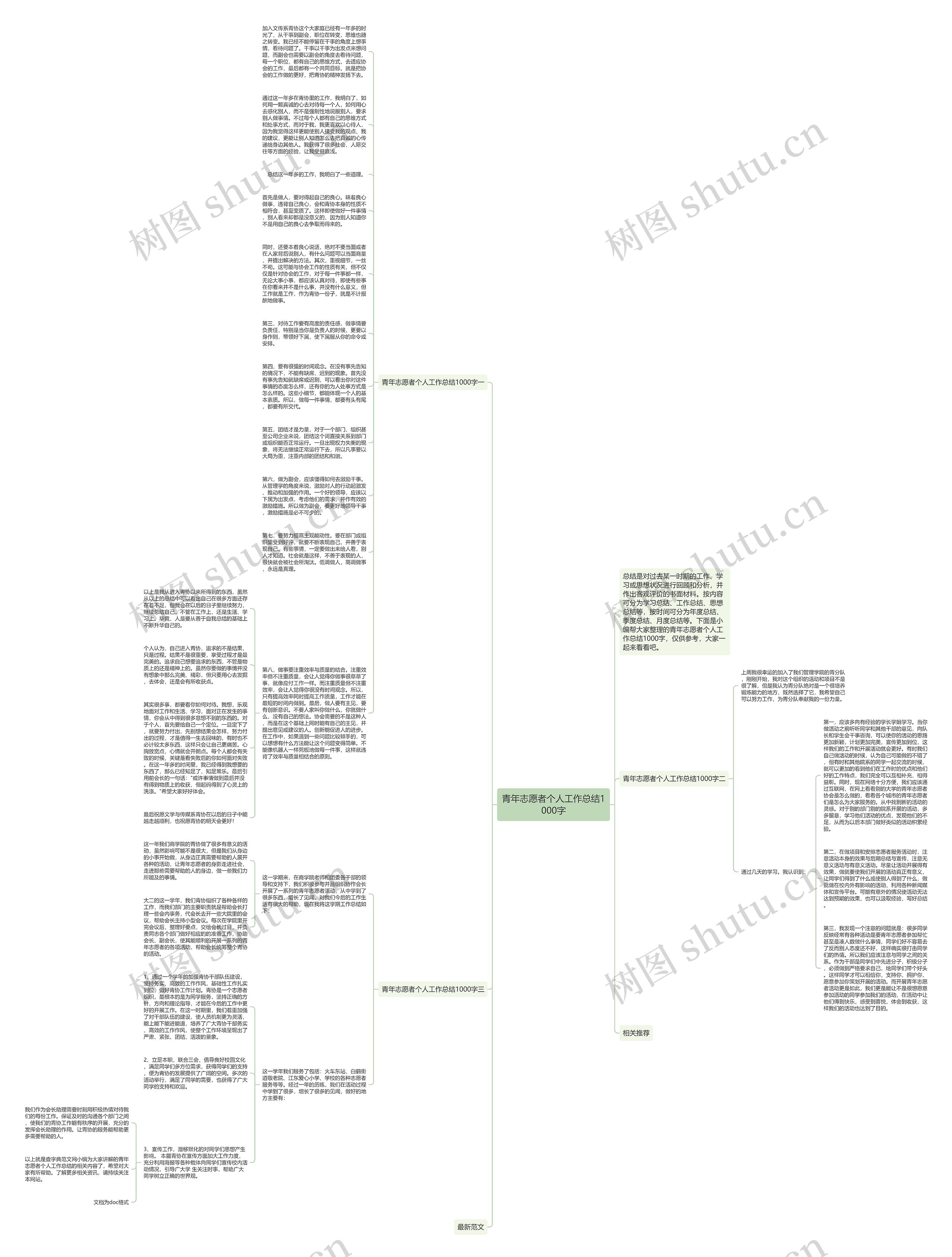 青年志愿者个人工作总结1000字