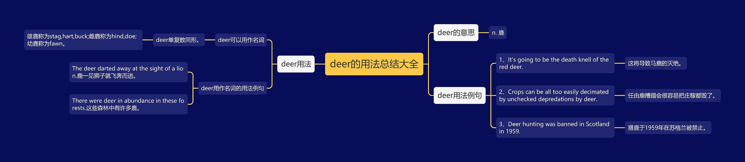 deer的用法总结大全思维导图